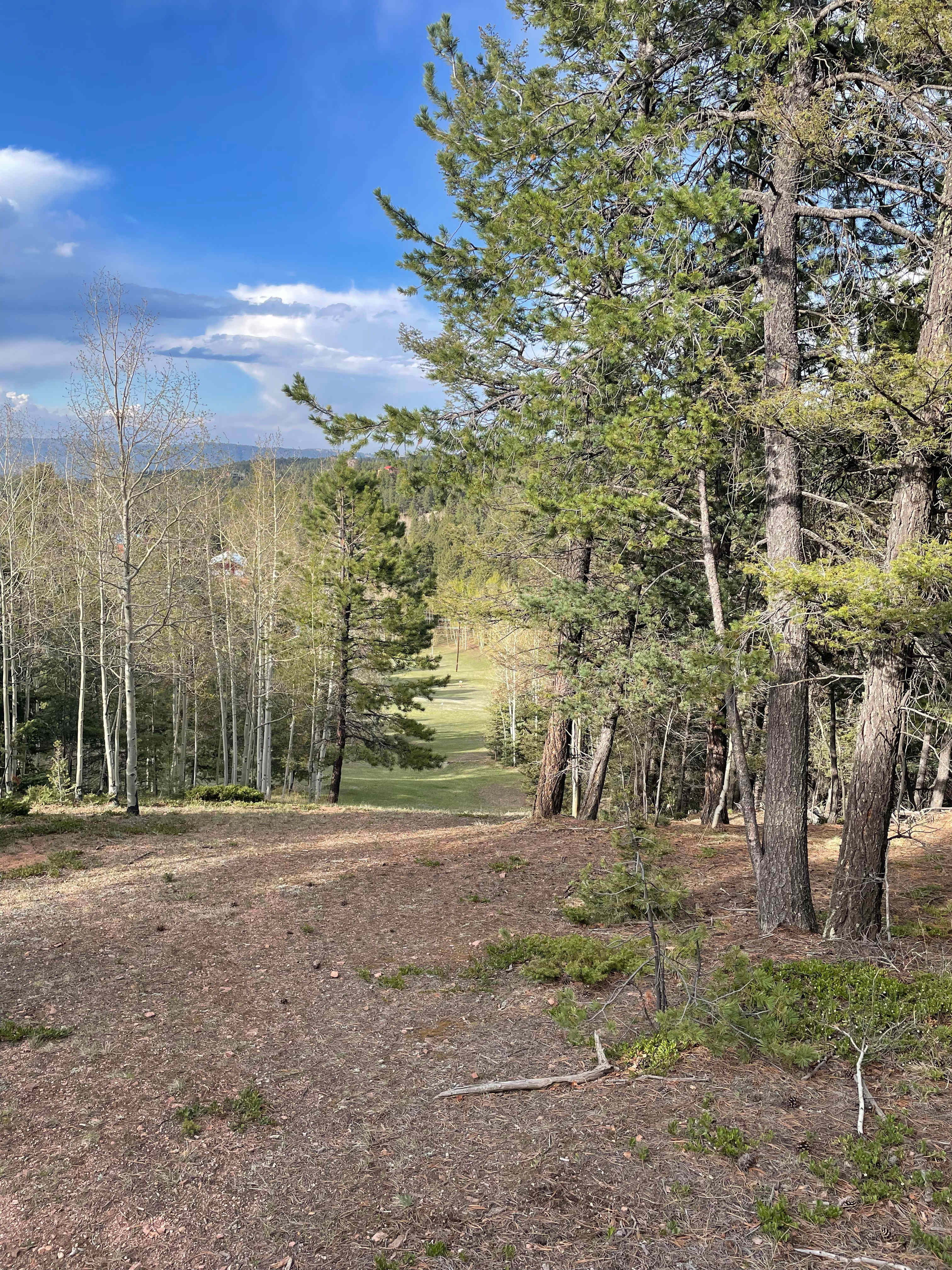 Site 4