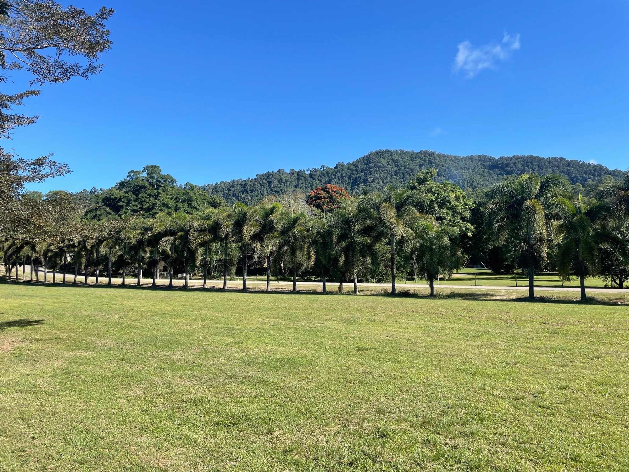 Photo of Site 4 - Strawberry Farm Campsite at Ballantyne's Strawberry Farm