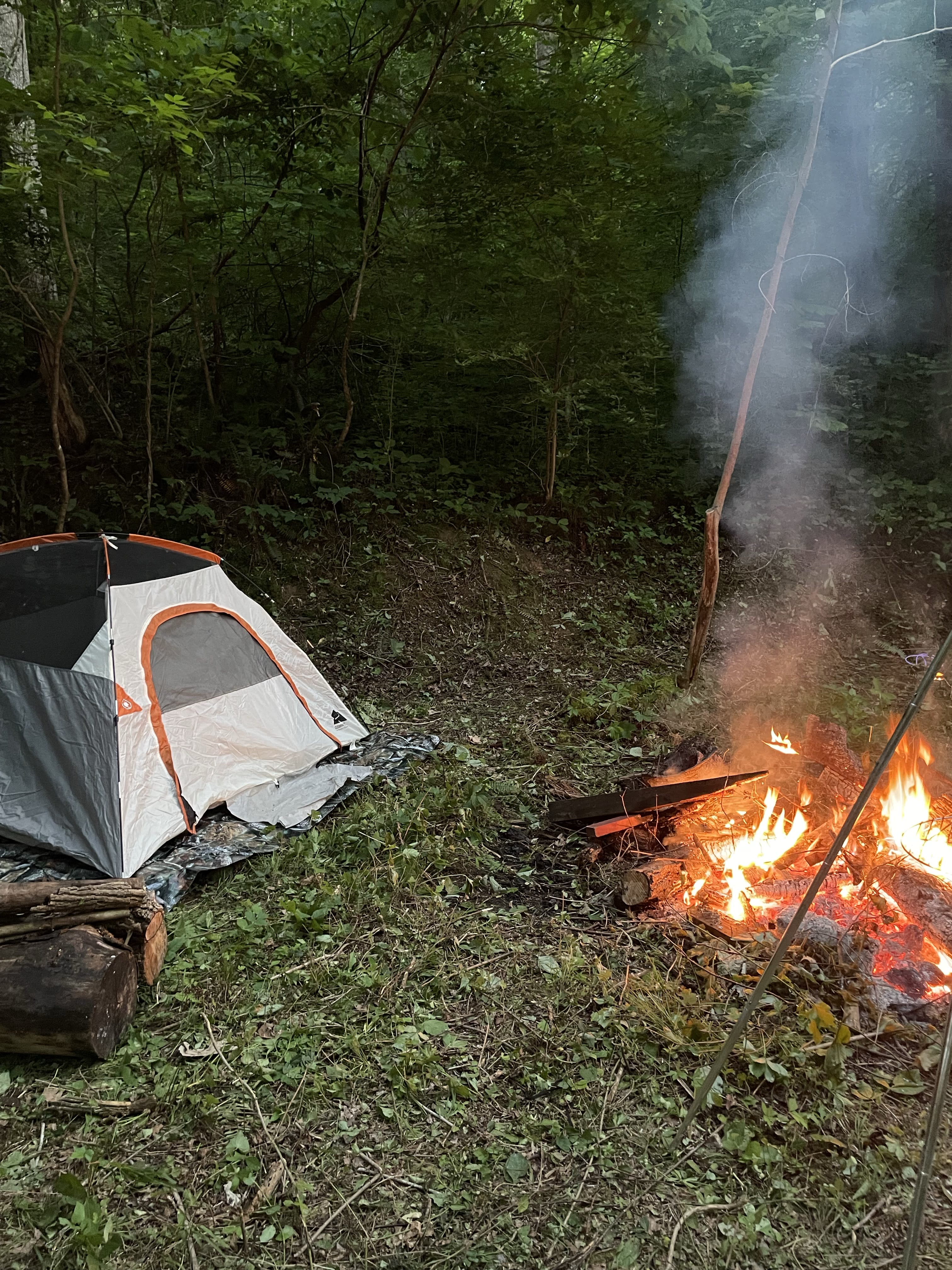 Forest Hideaway primitive camp site