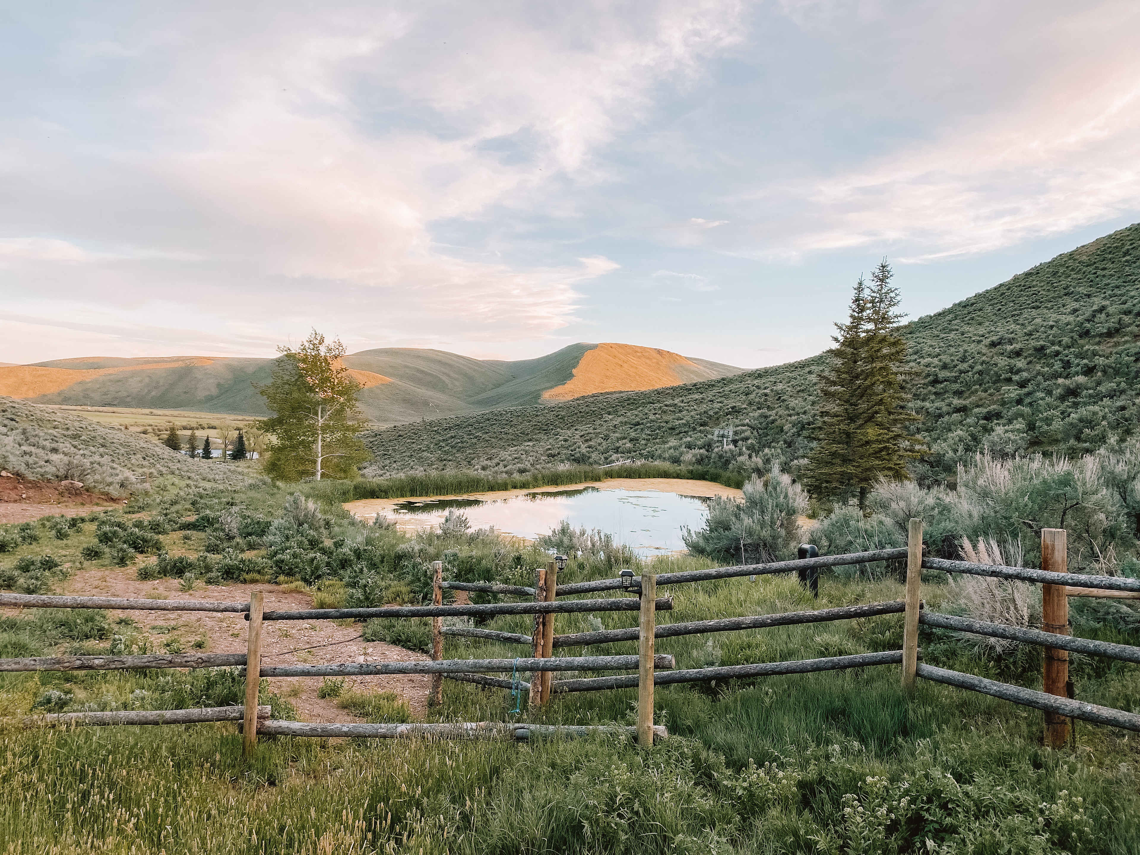 Lazy 6-T Ranch