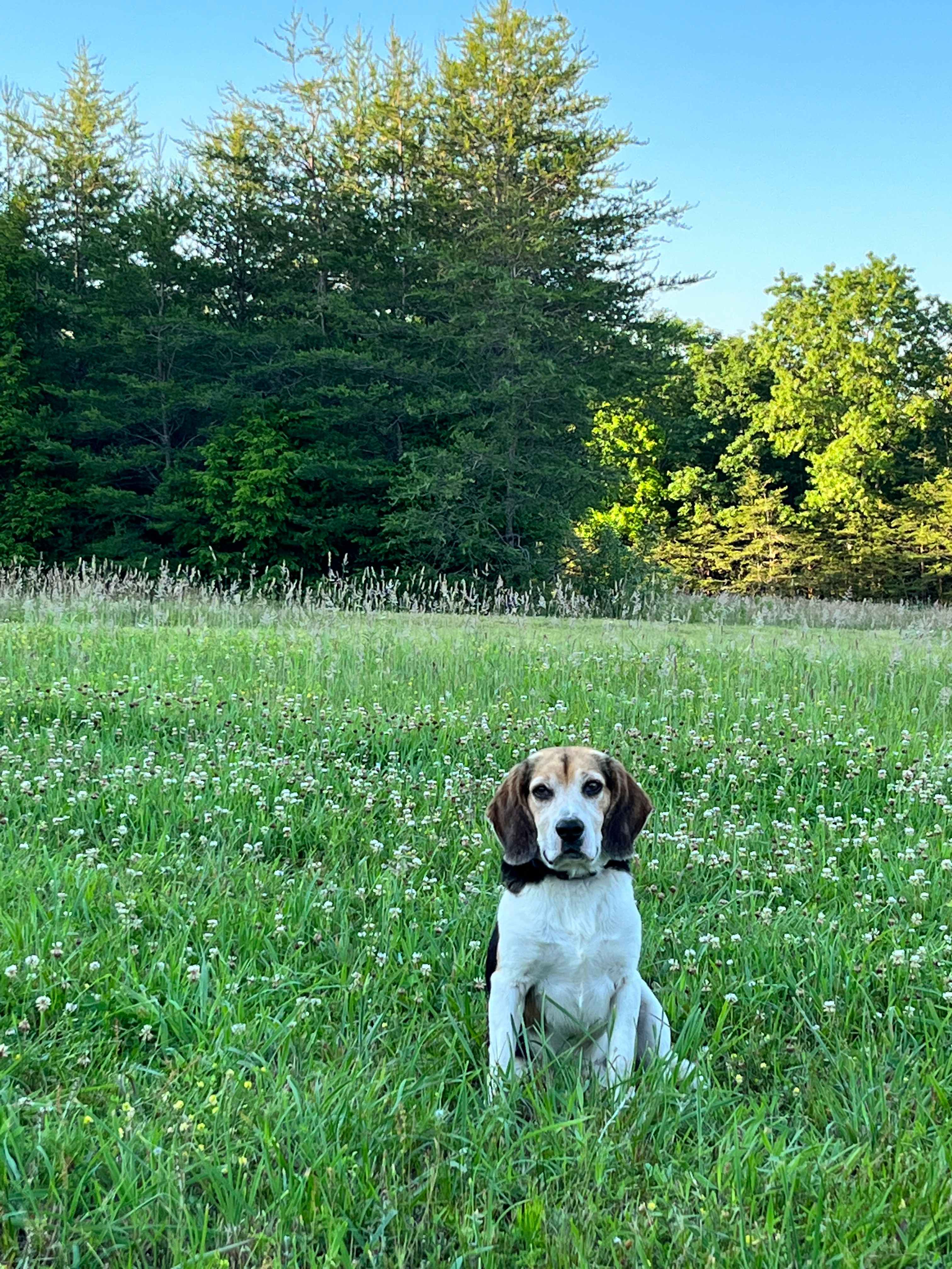 Hammock’Sway Private Off Grid Camp