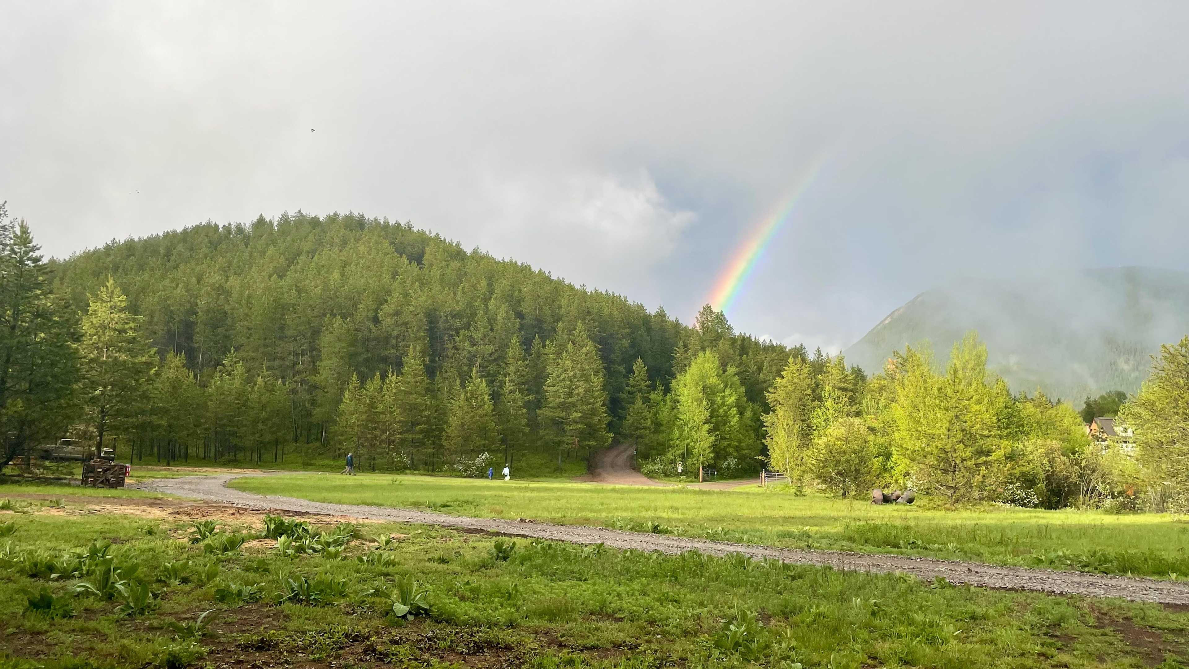 Meadow Loop near sites 1-6
