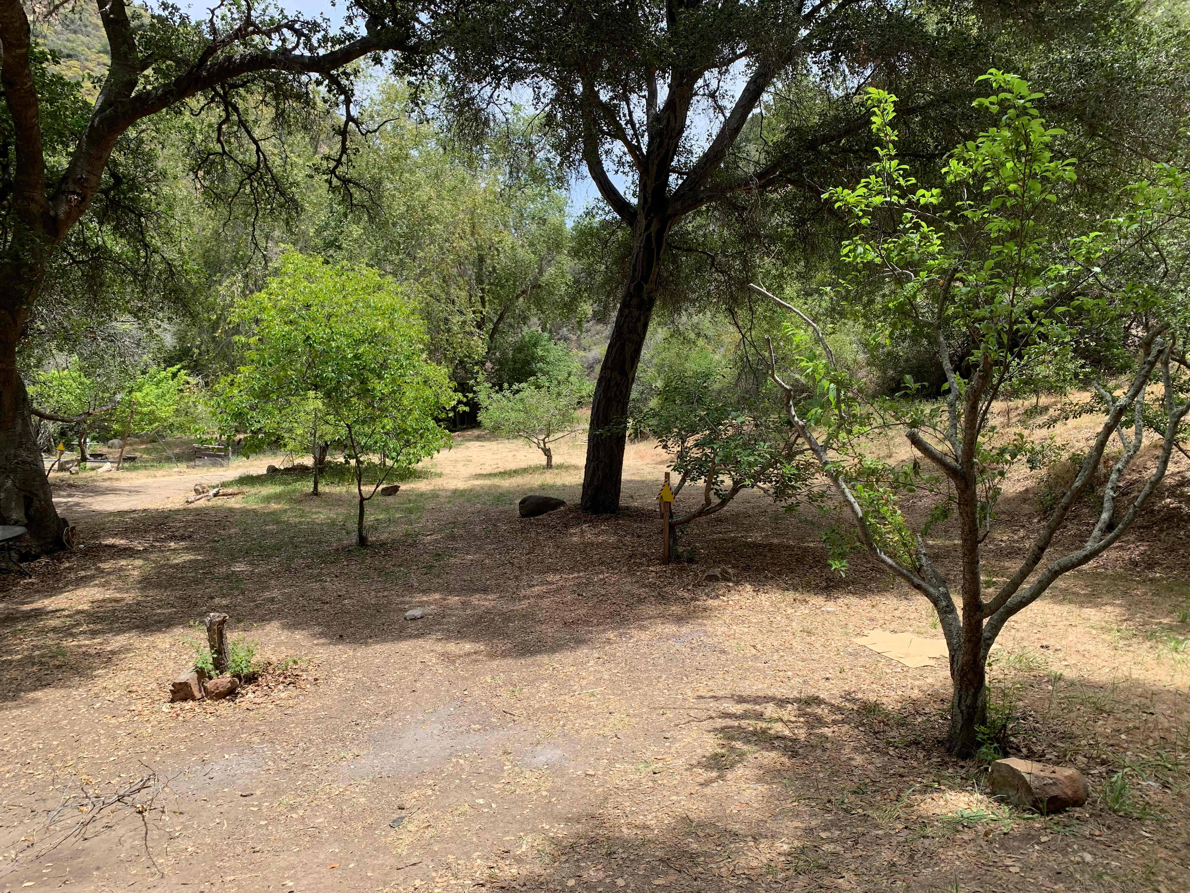 Main Camp Zone
