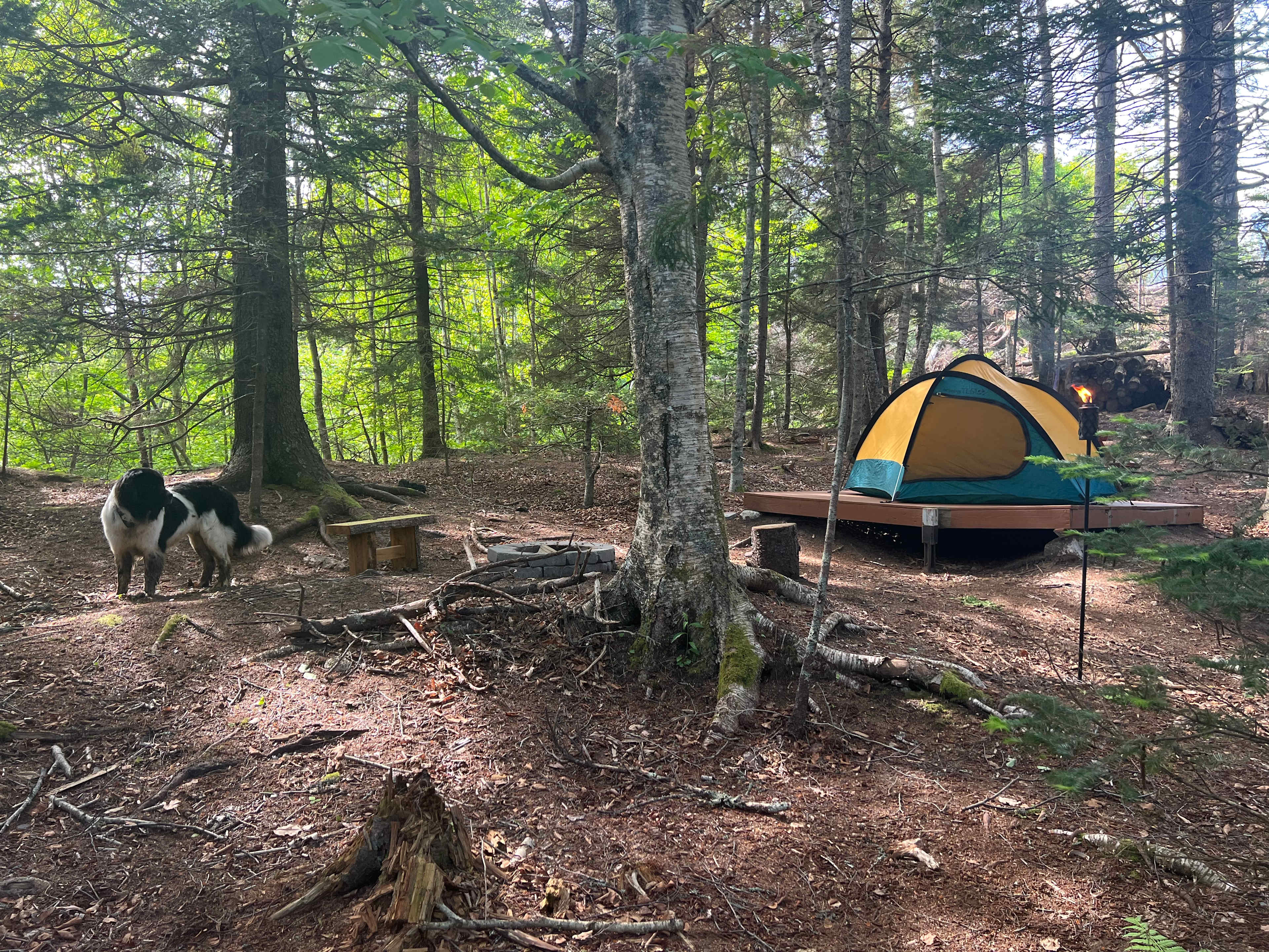 Four Acre Woods Campground