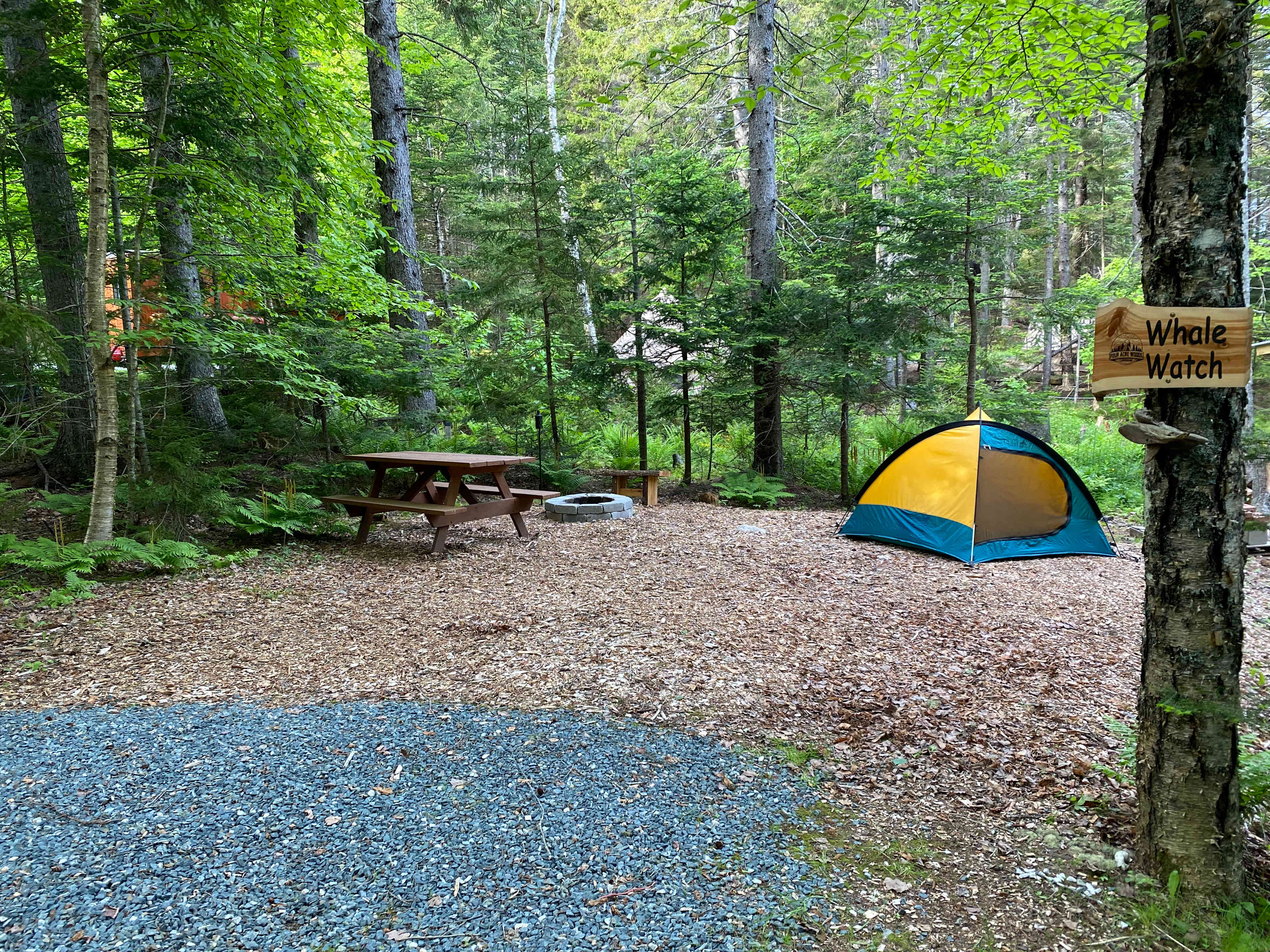 Four Acre Woods Island Campground