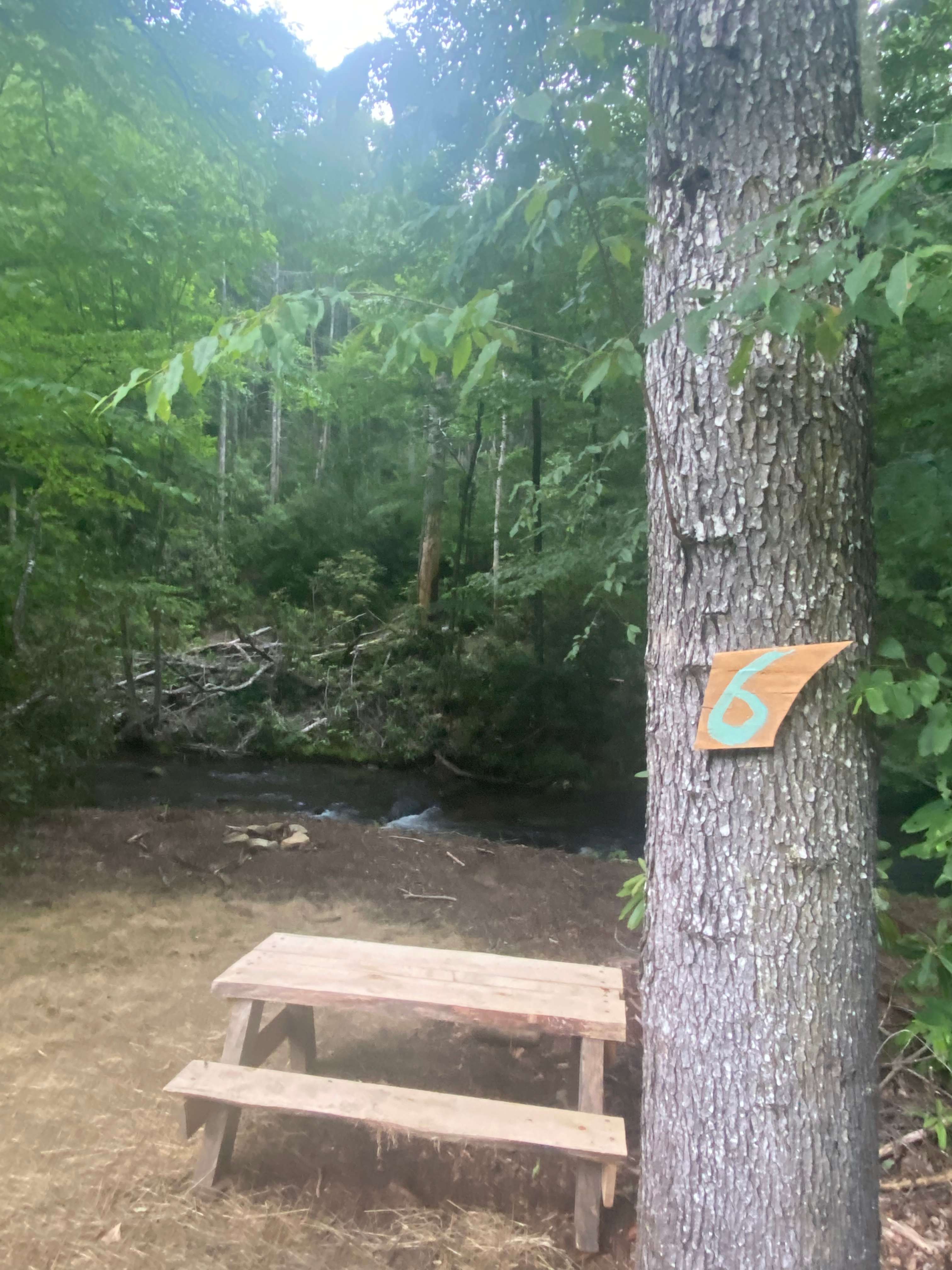 Creekside #6  “Blue”