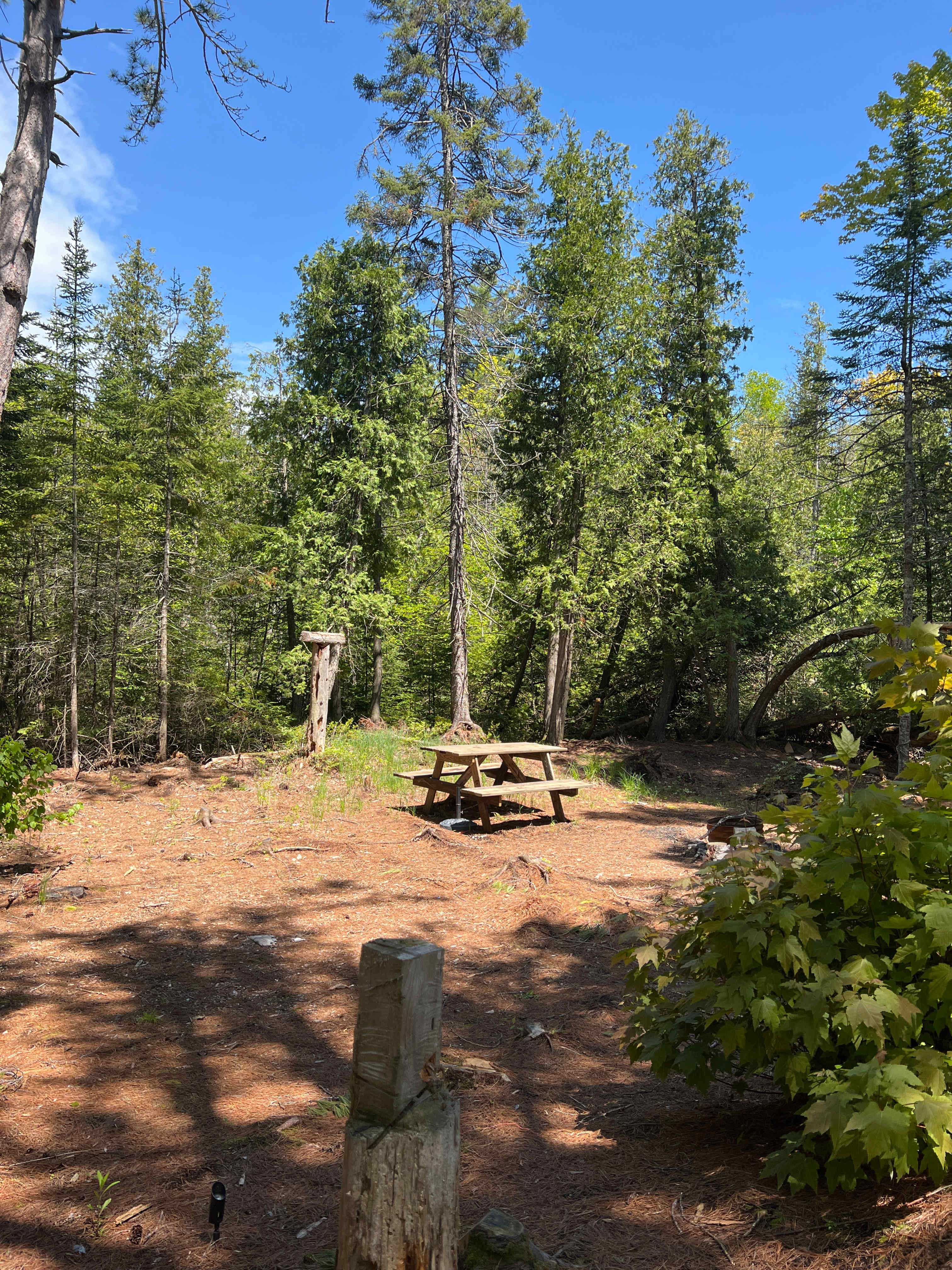 Just Show Up Camping