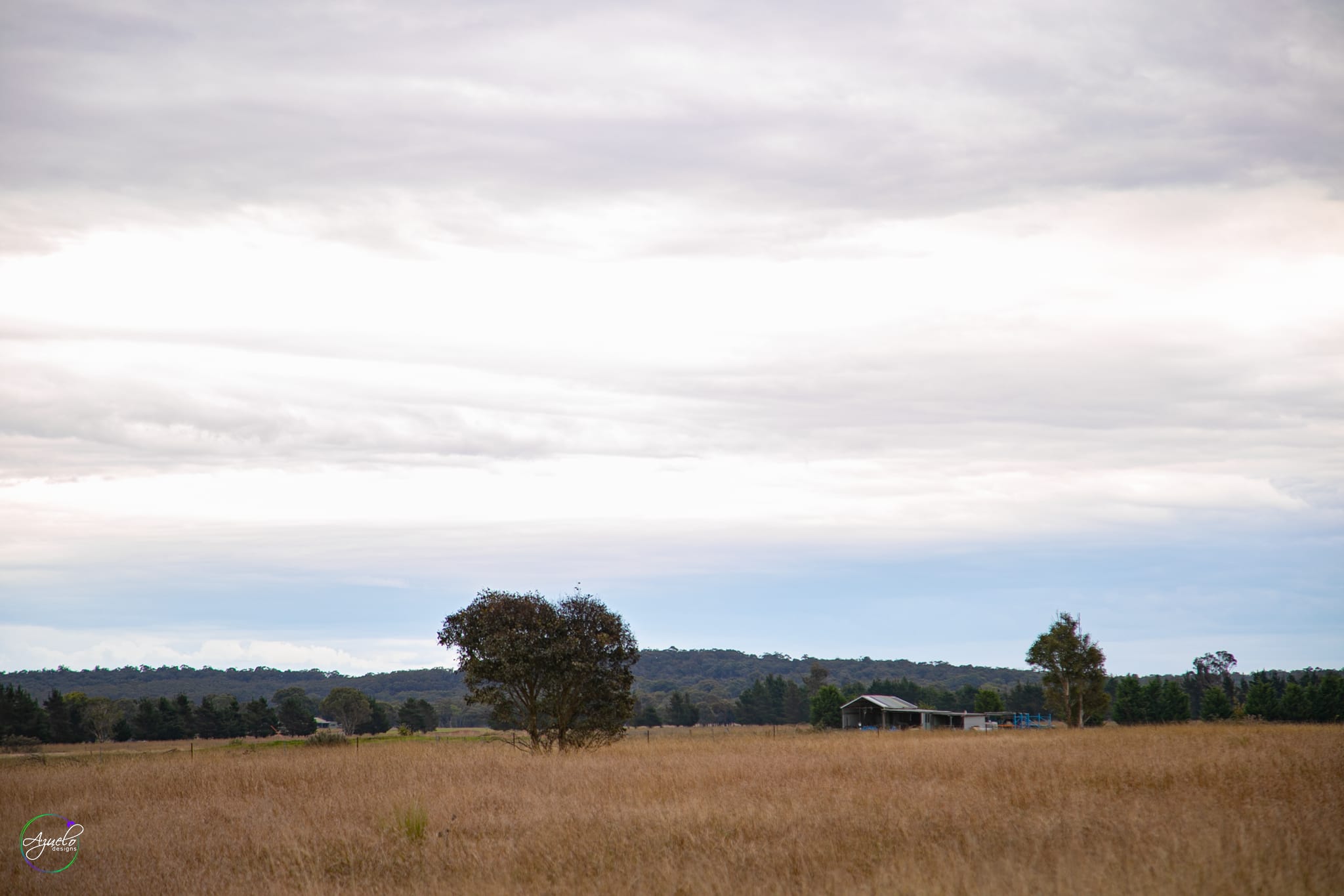 The Hobby Sheep Farm