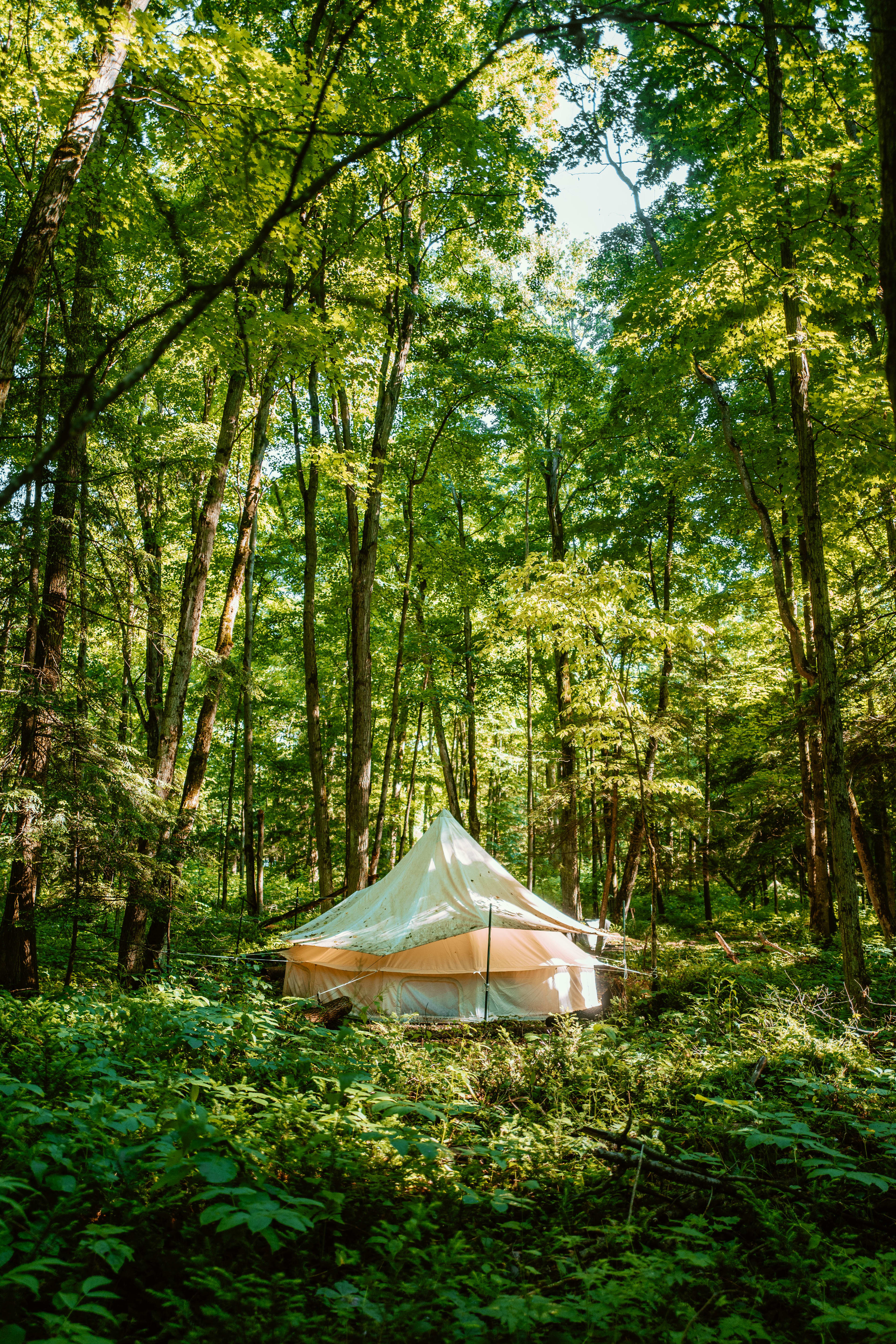 One of the glamping tents the property has to offer - and its absolutely glorious