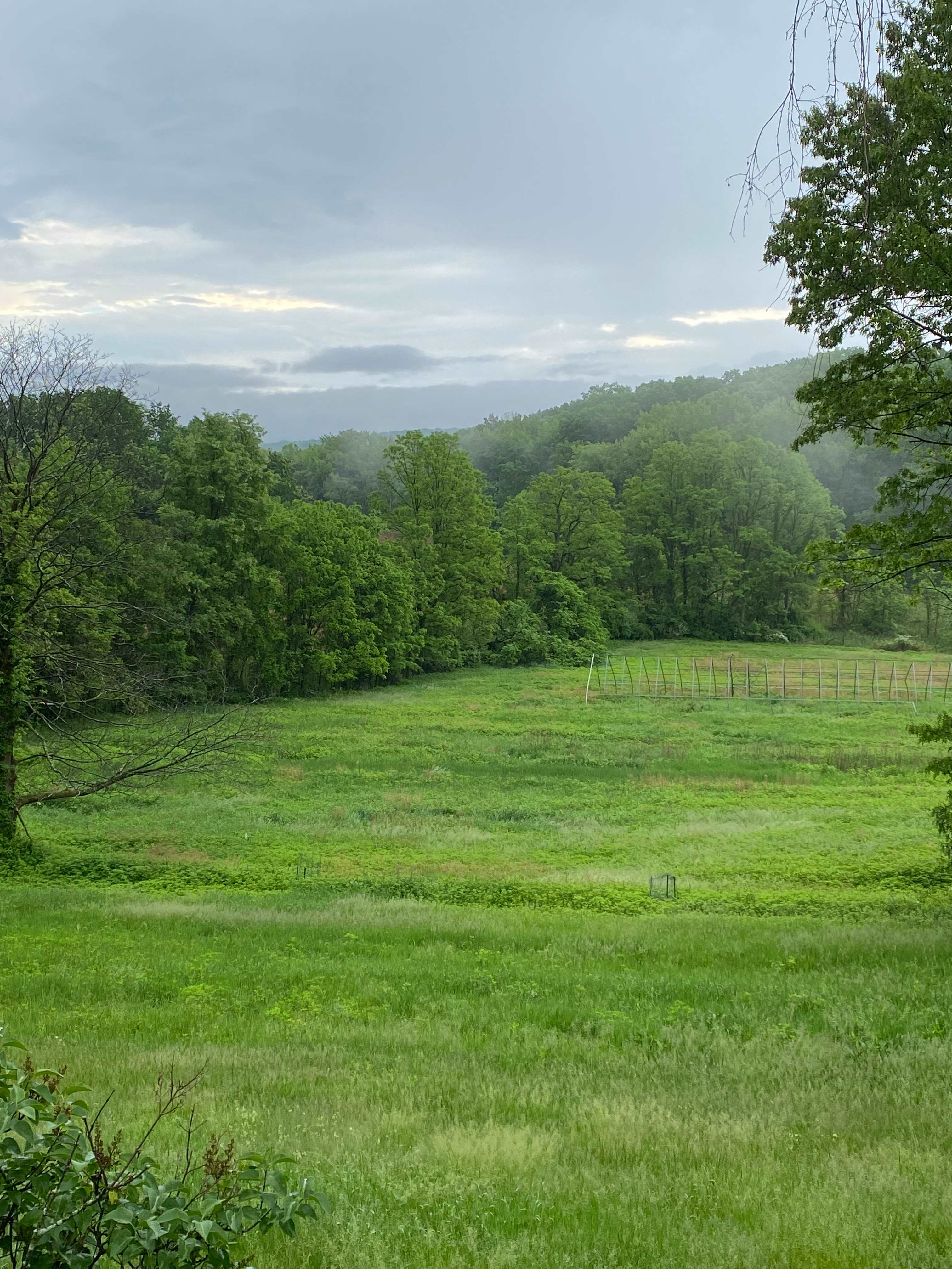 Roots and Culture Farmstead