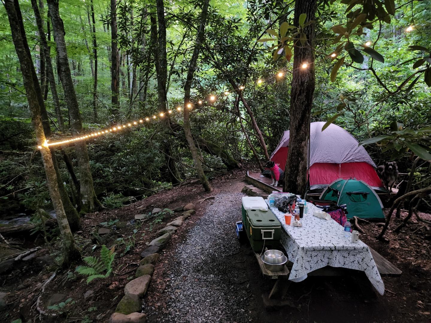 Picnic table and tent pad area. Brian has a string of USB lights set up that you can plug into a USB port. 