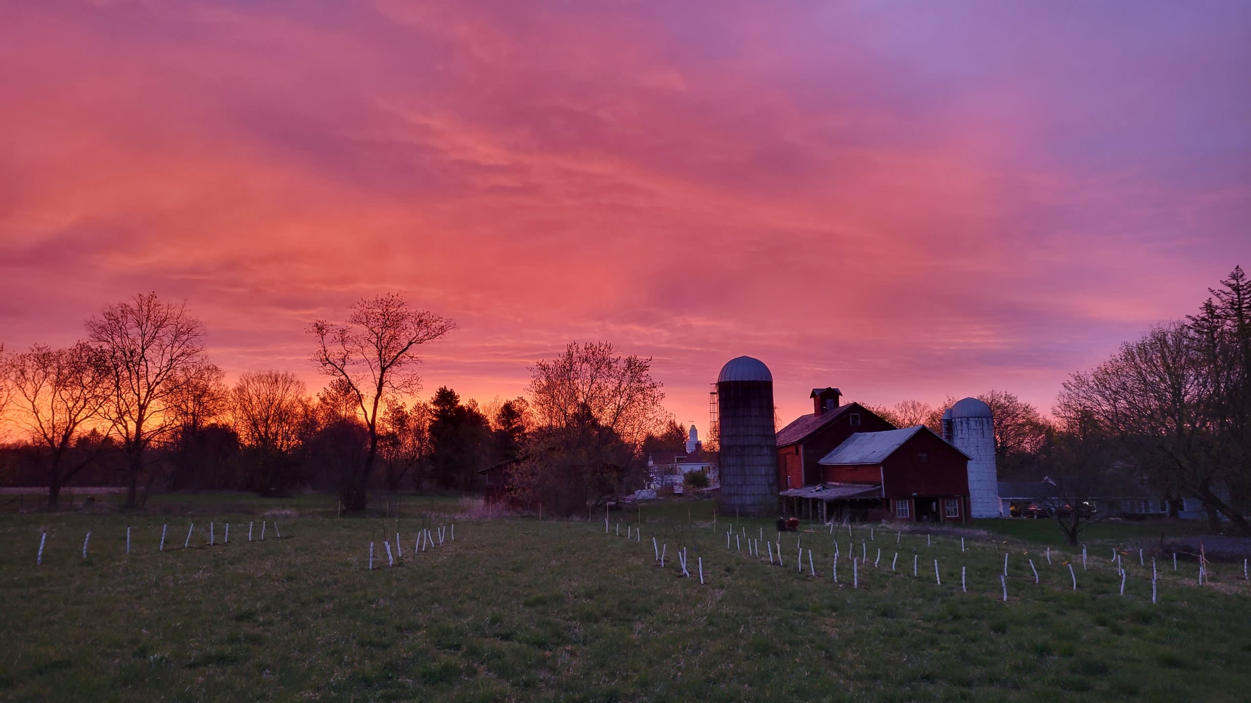 Birch Star Farm in historic Charlton, NY