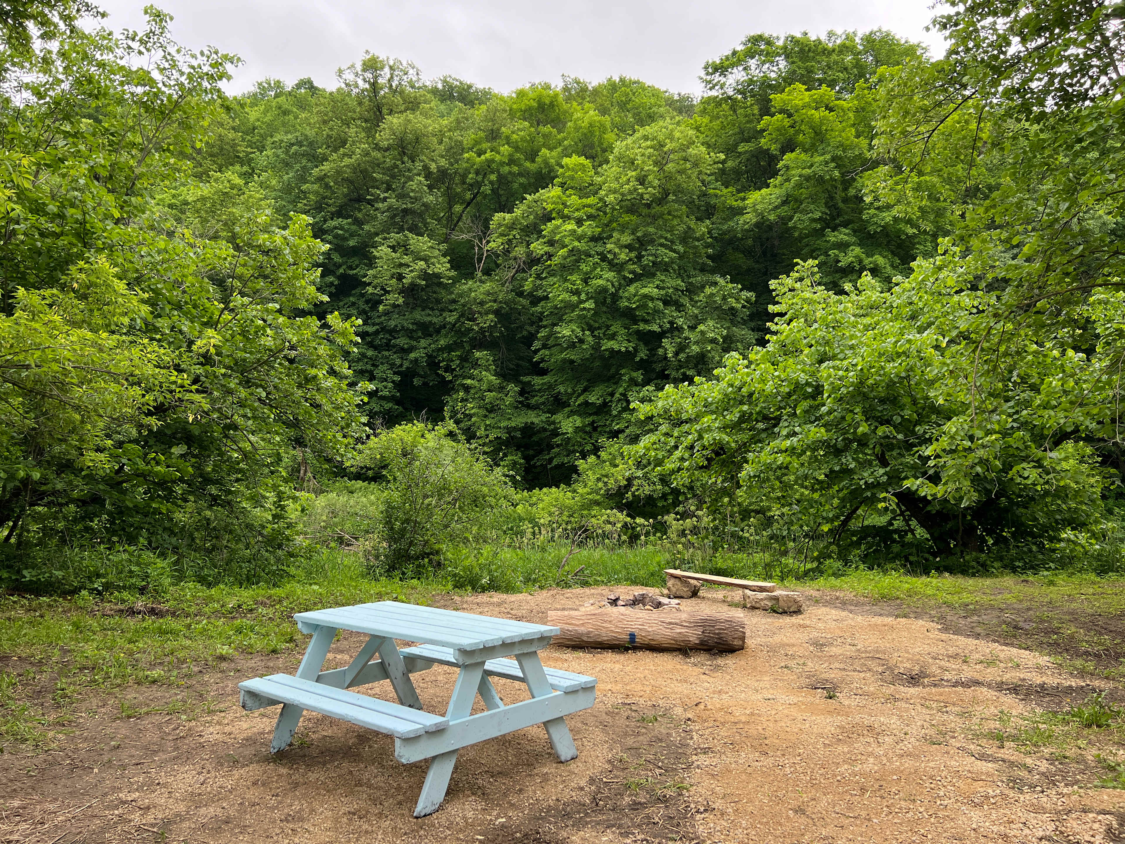 Newly added picnic table!