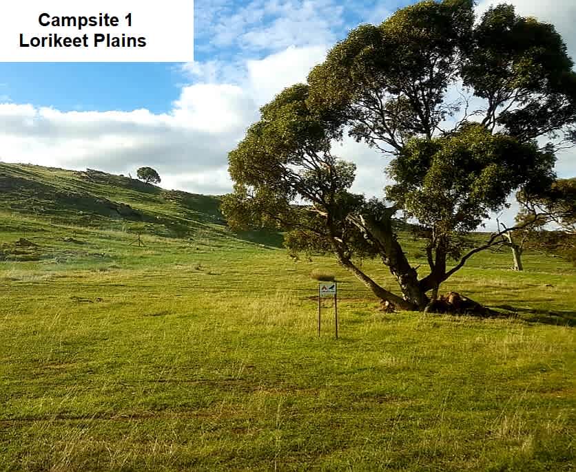 Campsite 1 - Lorikeet Plains