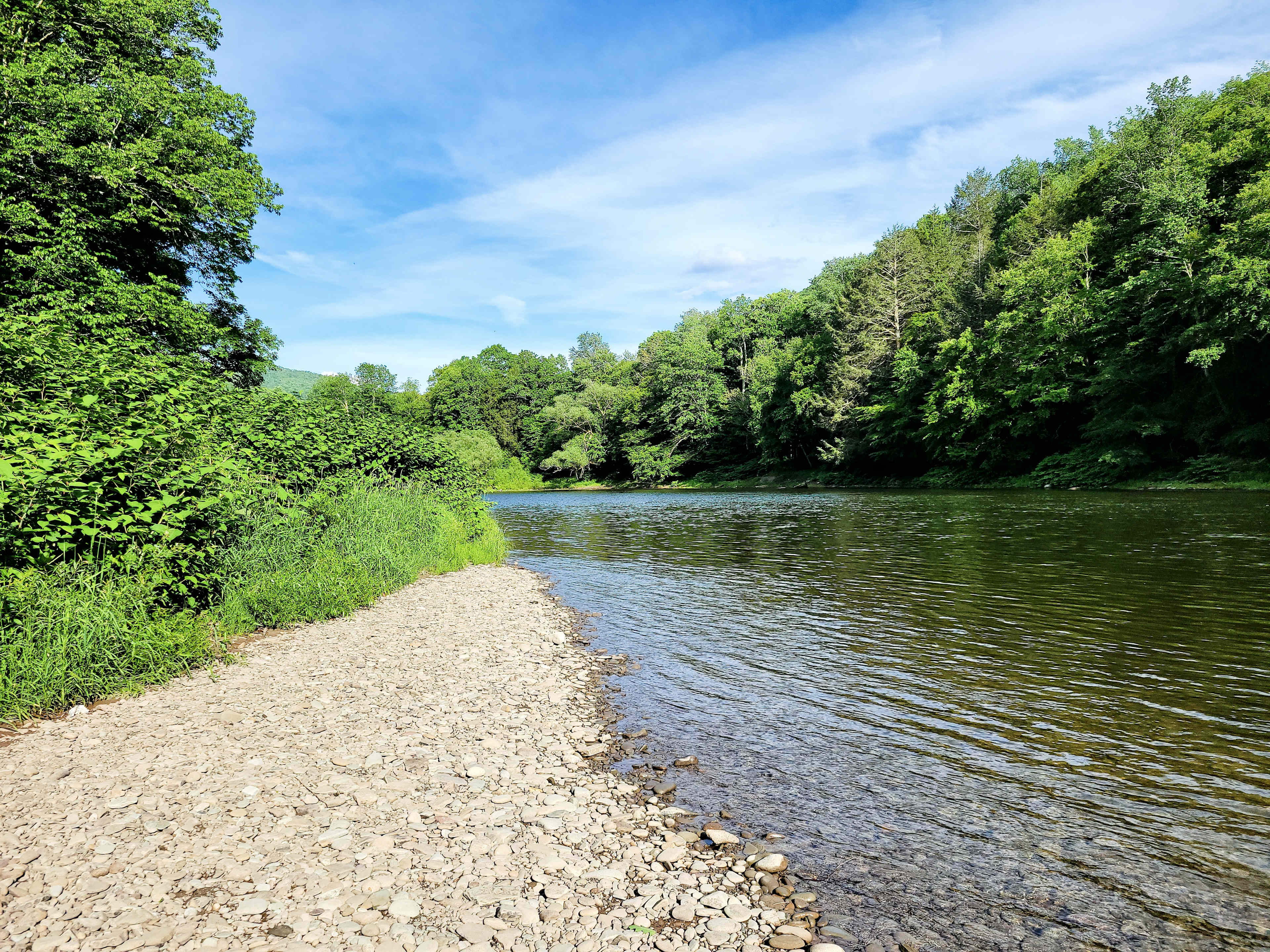 Camp Handsome Hollow