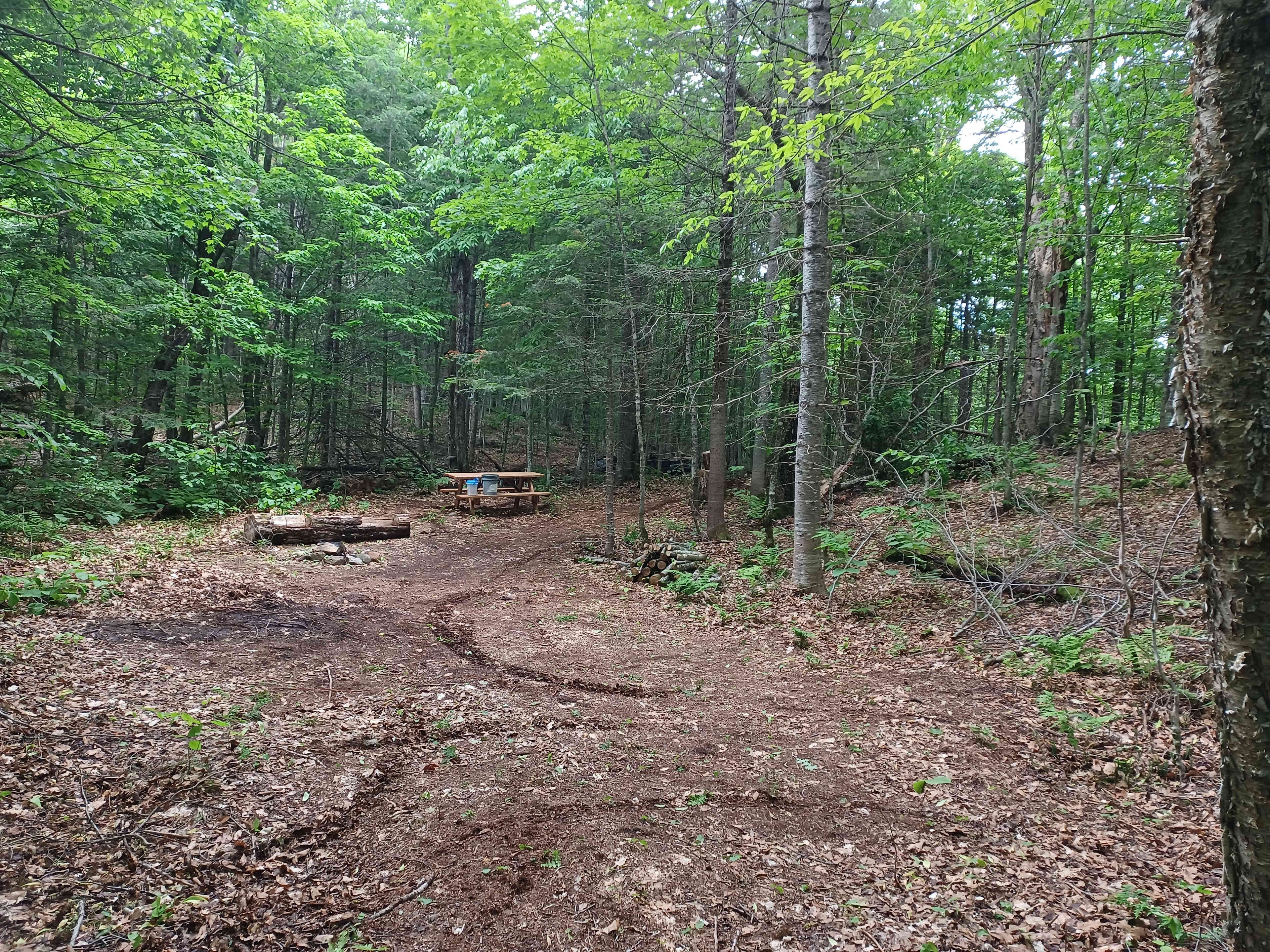 site 4 rustique