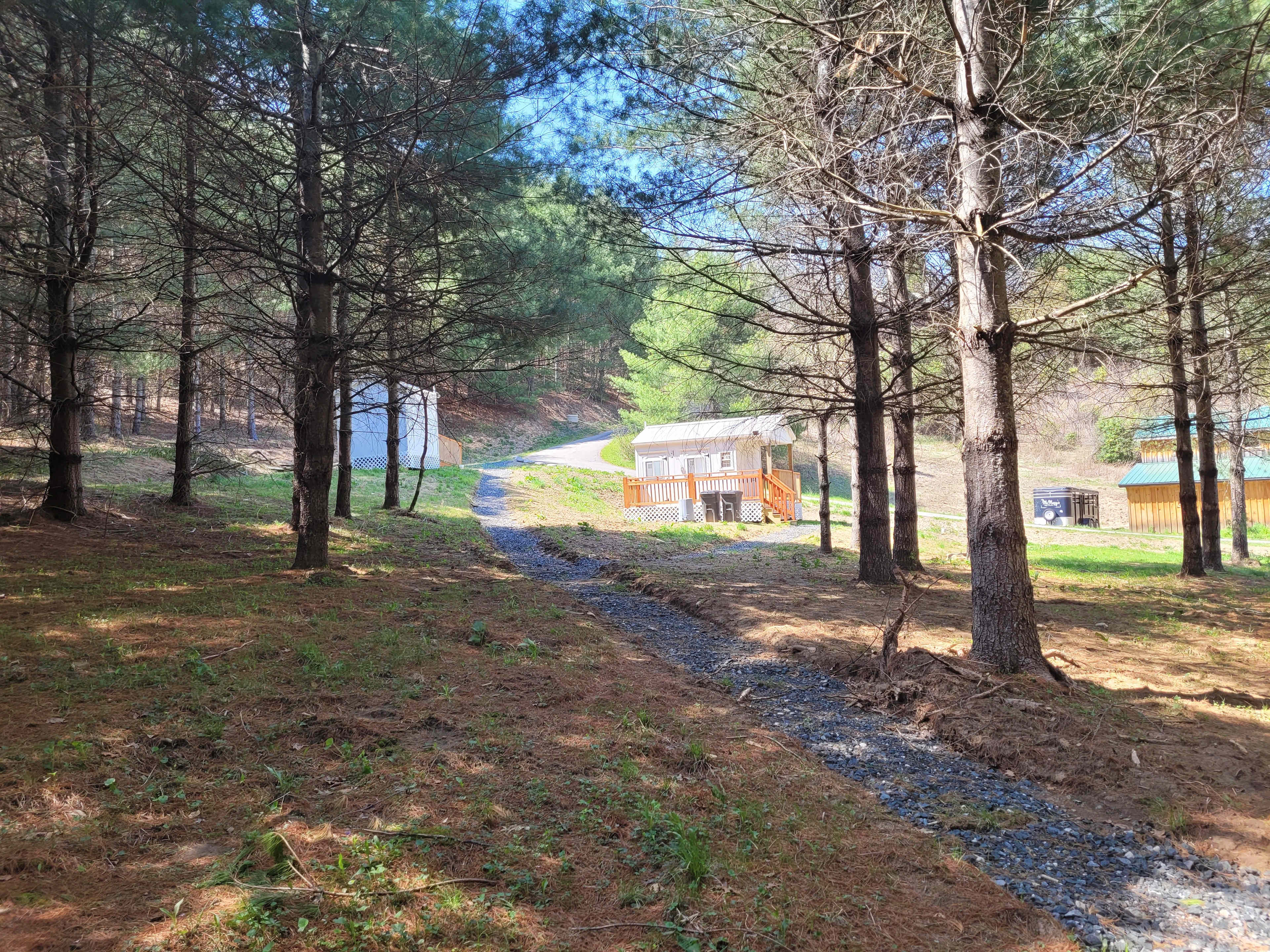 Picture of the site