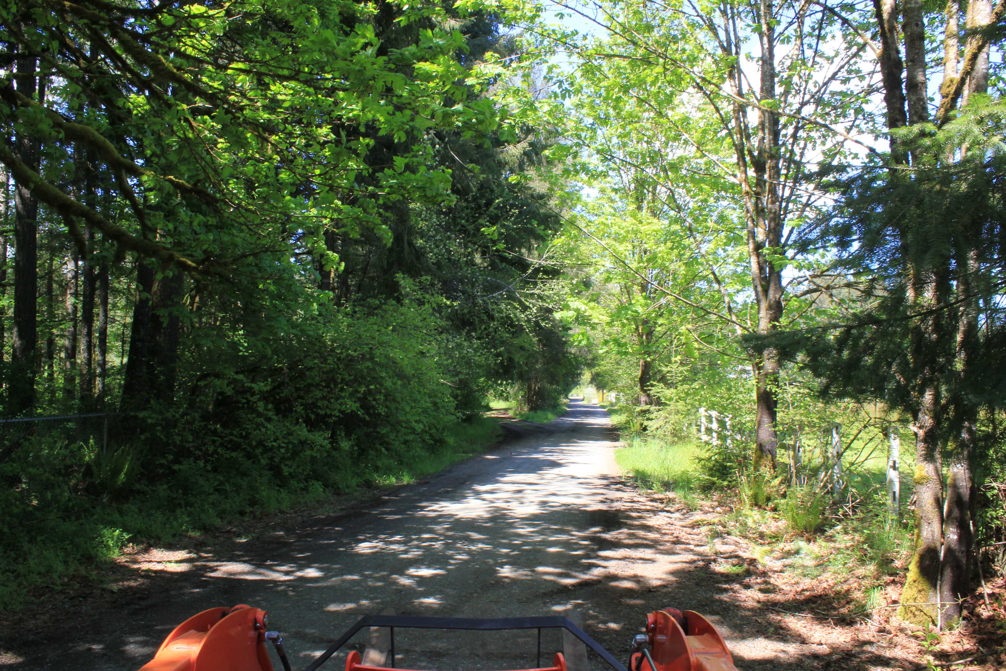 pulling into driveway