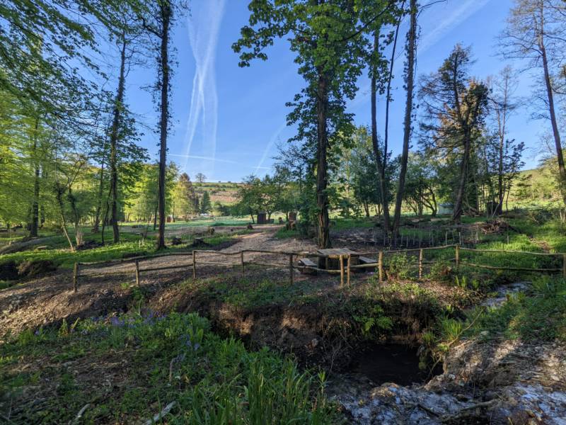 Wytch Wood Camping