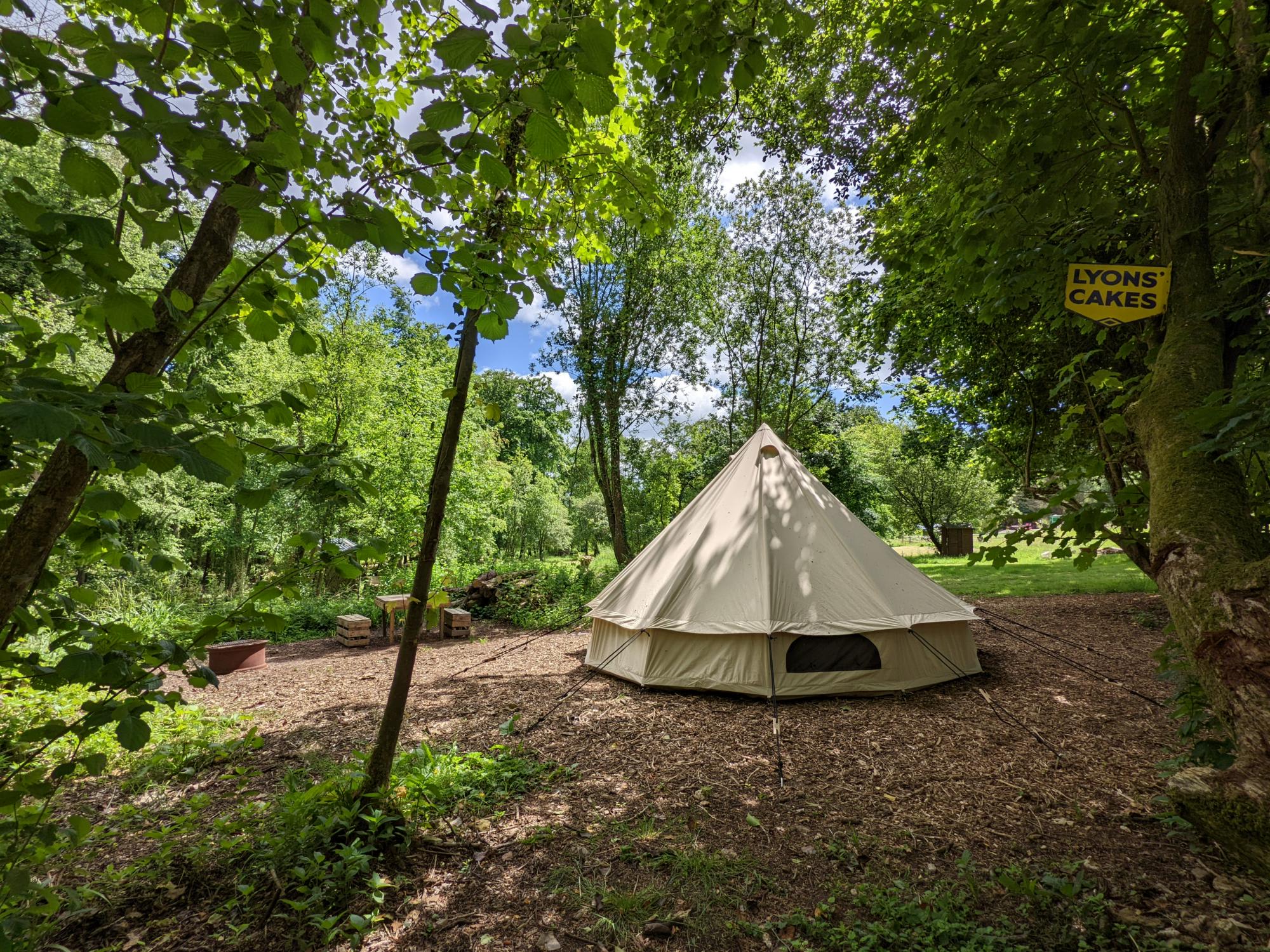 Wytch Wood Camping