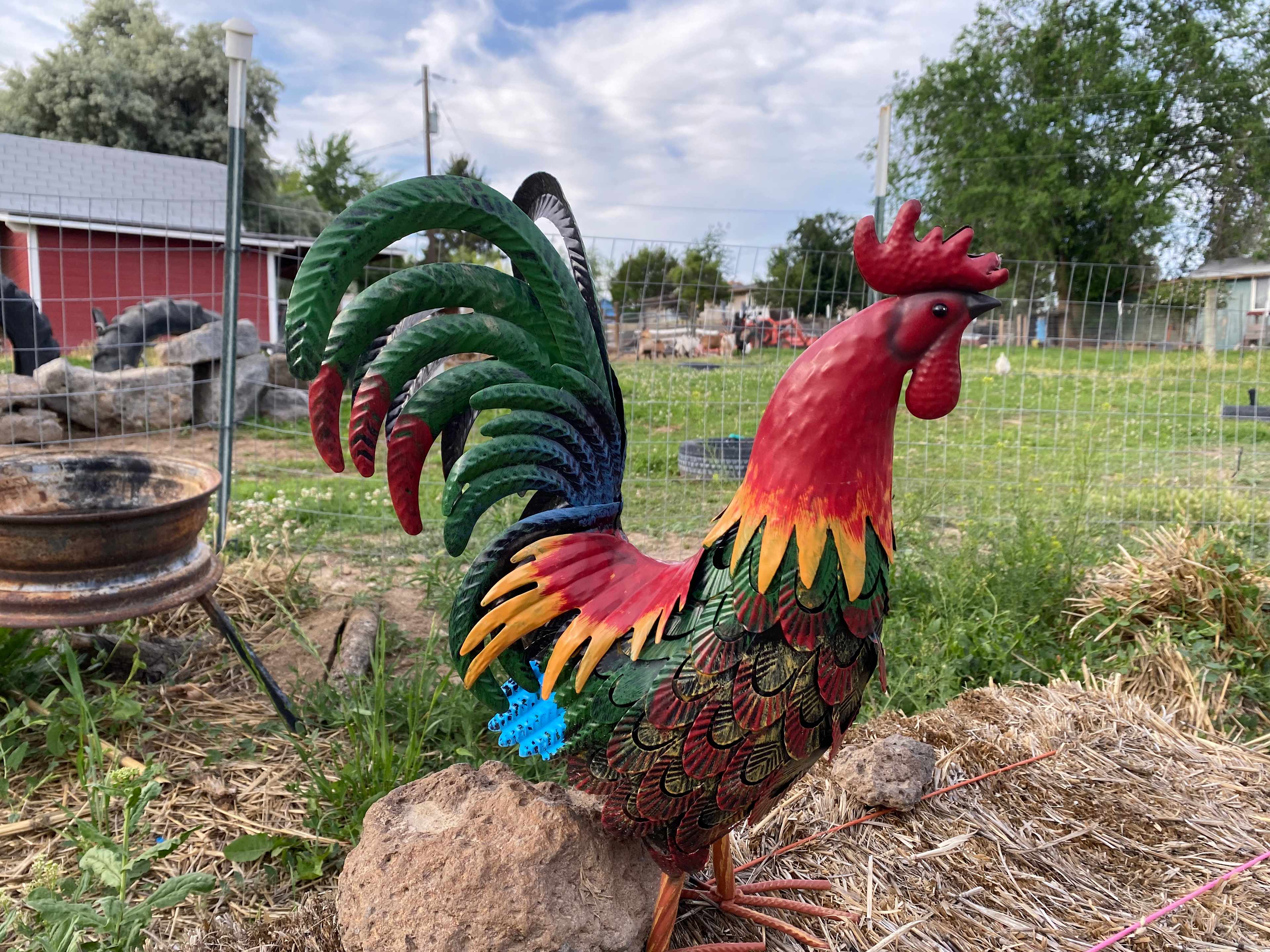Rex & Cate's Hobby Farm