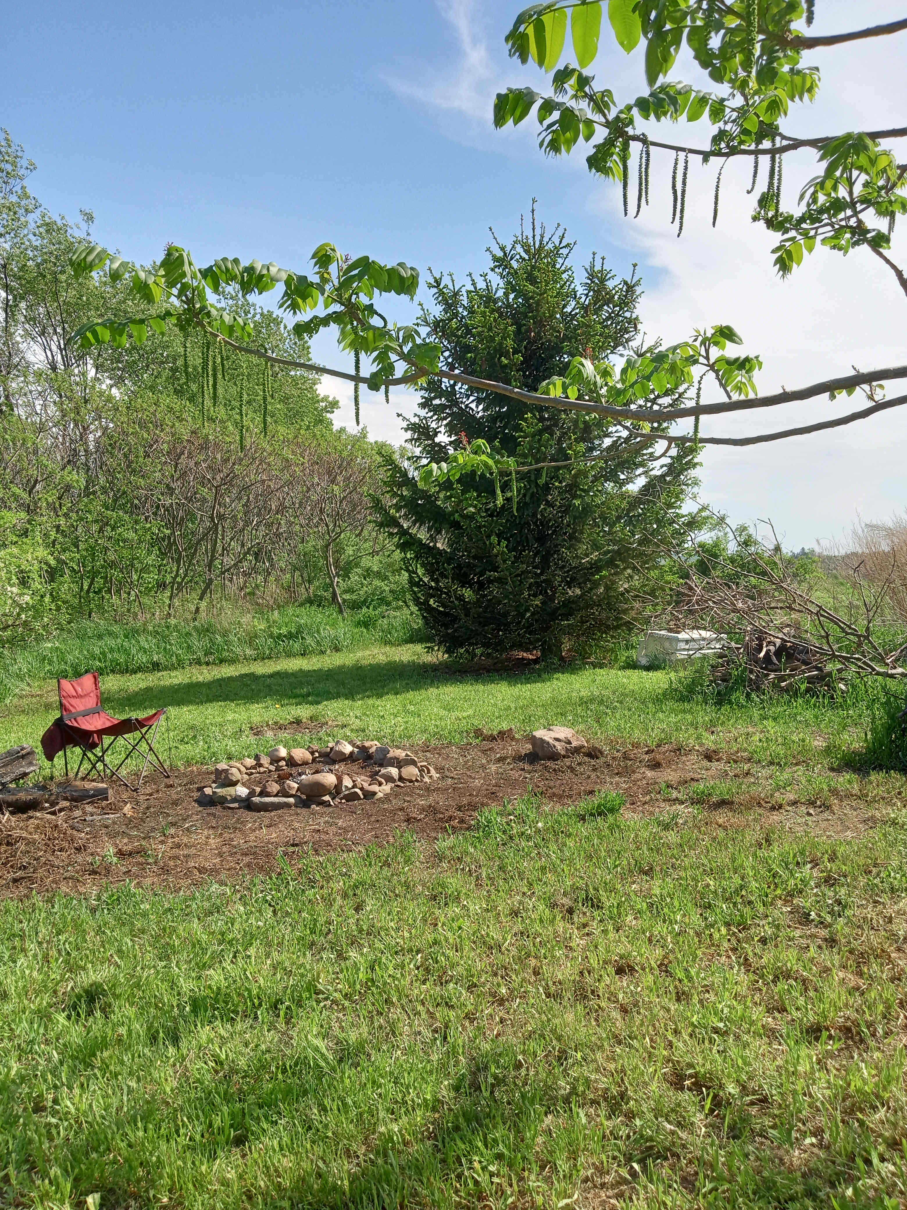 view south of Spruce campsite/firepit
