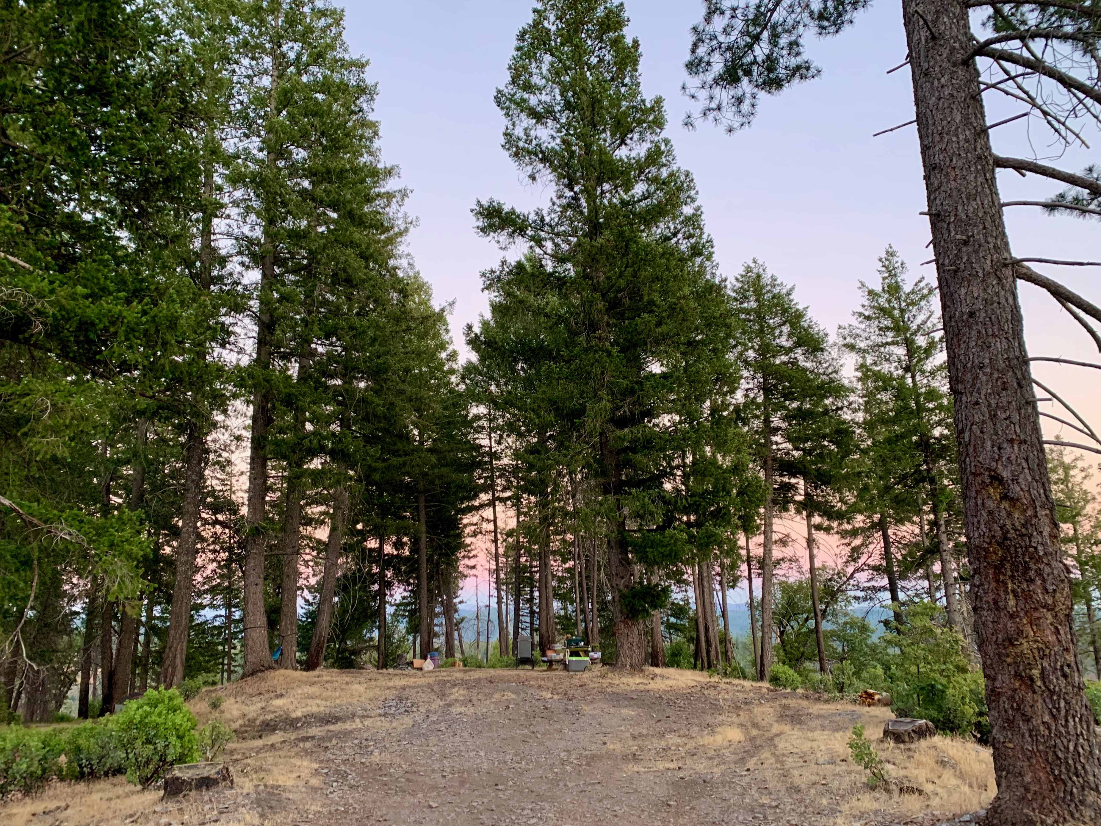 160 Acres amidst National Forest