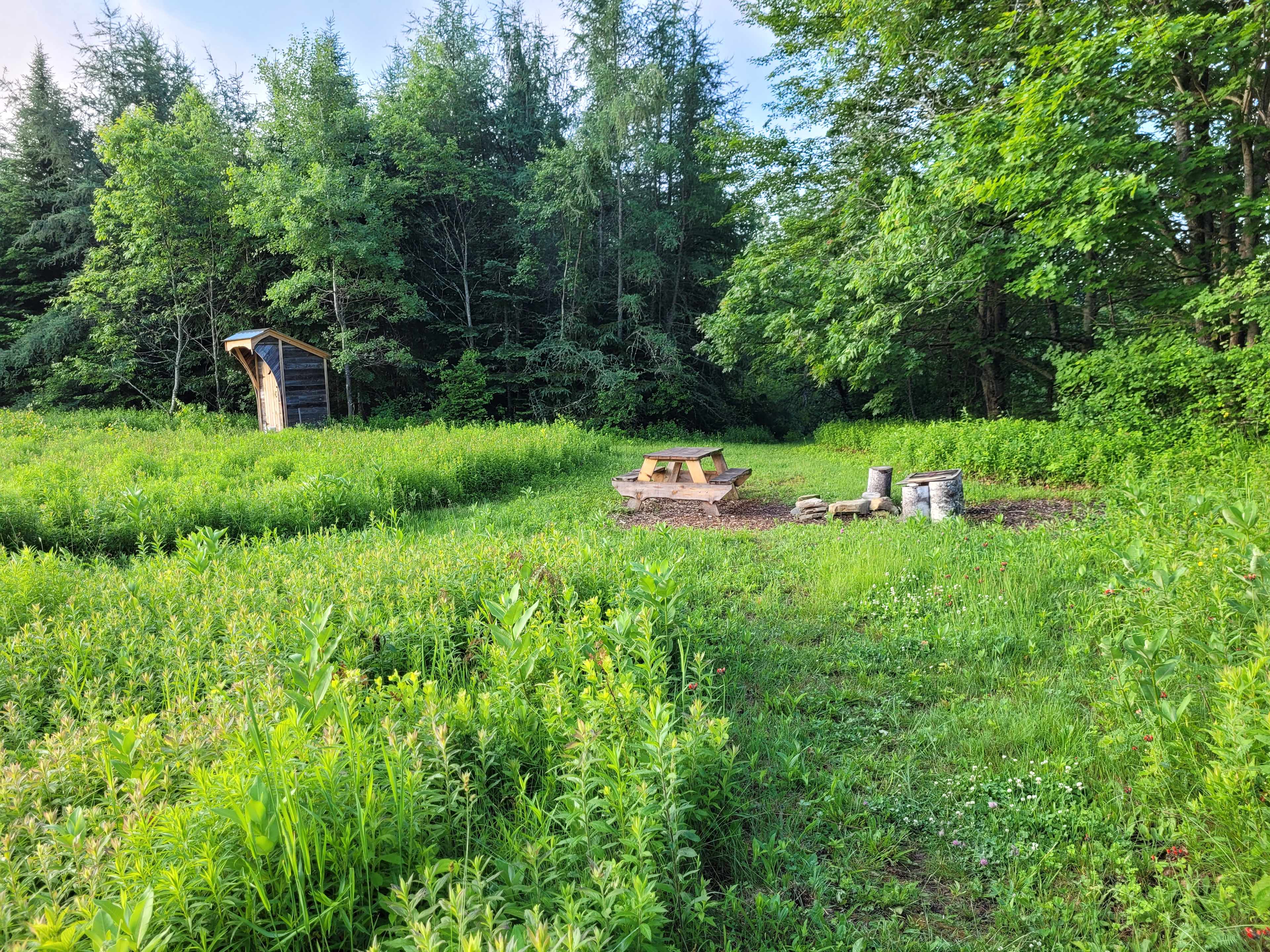 Old Farm Field
