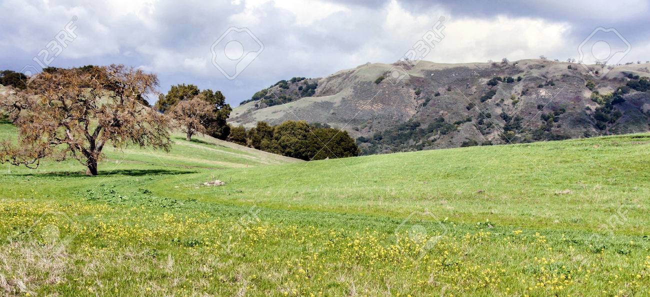 Coyote Lake Harvey Bear Ranch County Park