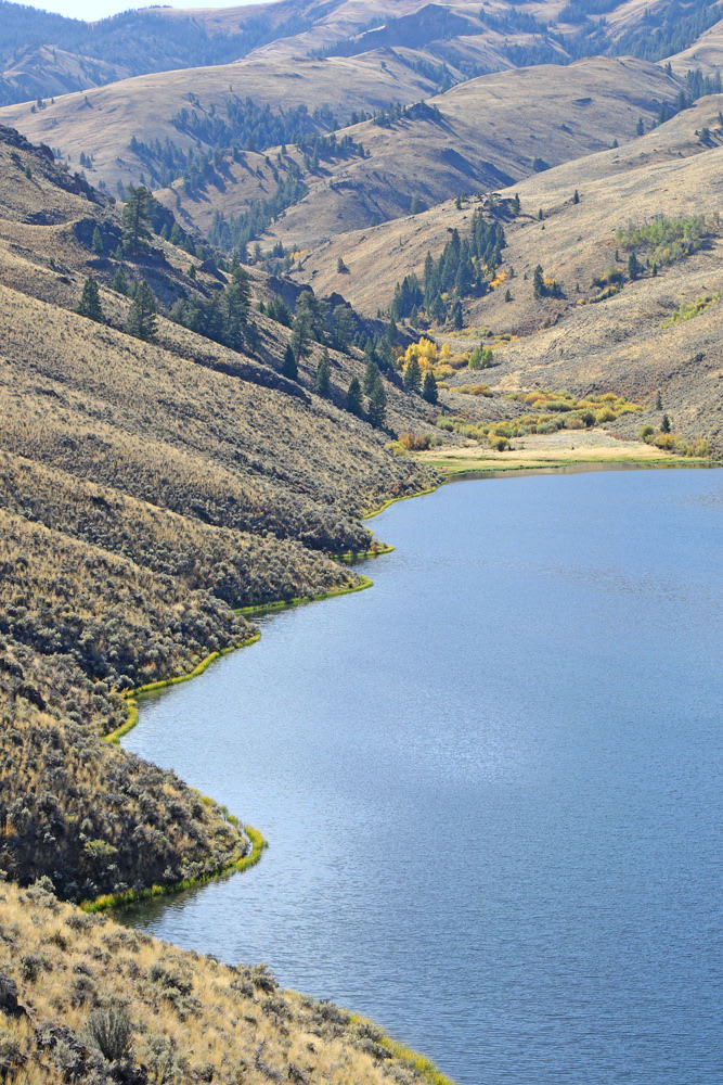Lake McClure