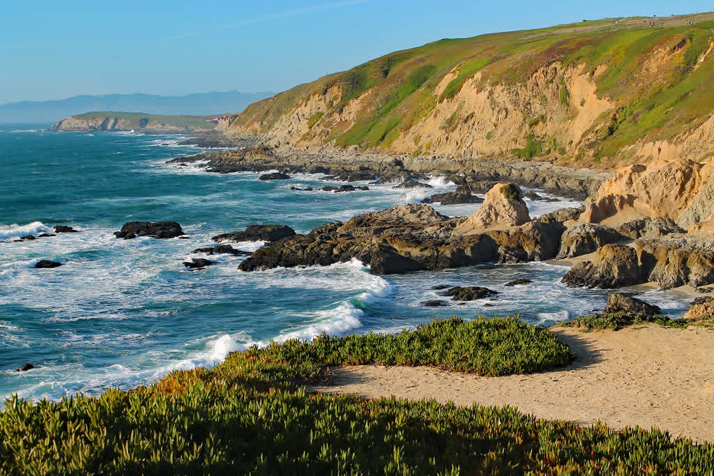 Bodega Head