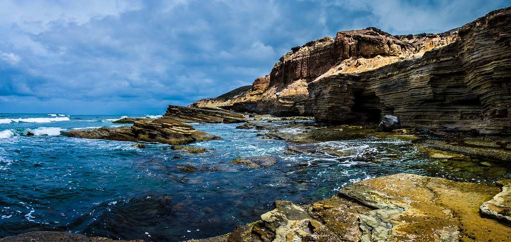 Point Loma Tide Pools