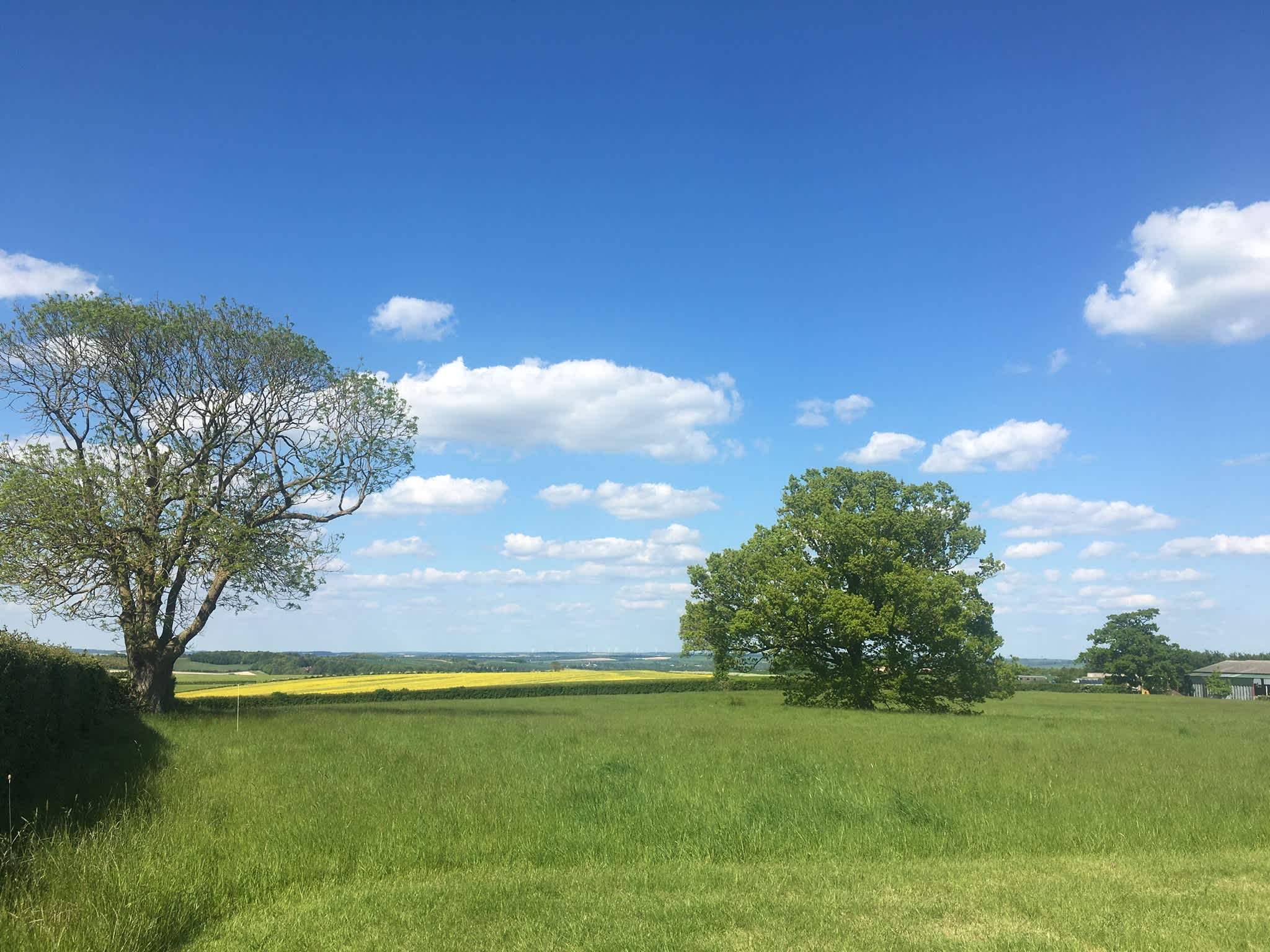 View towards Cambridge 