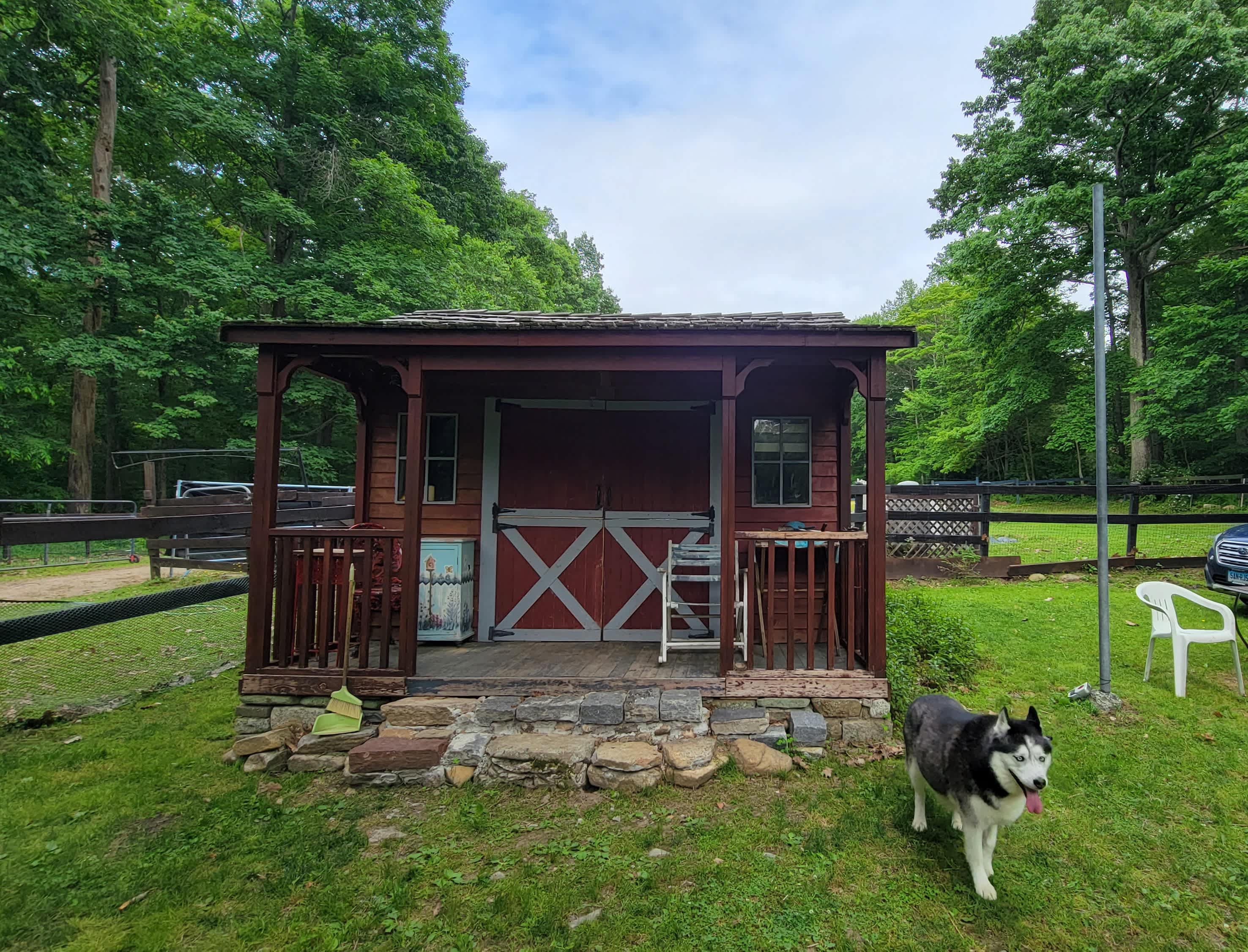 The Cabin