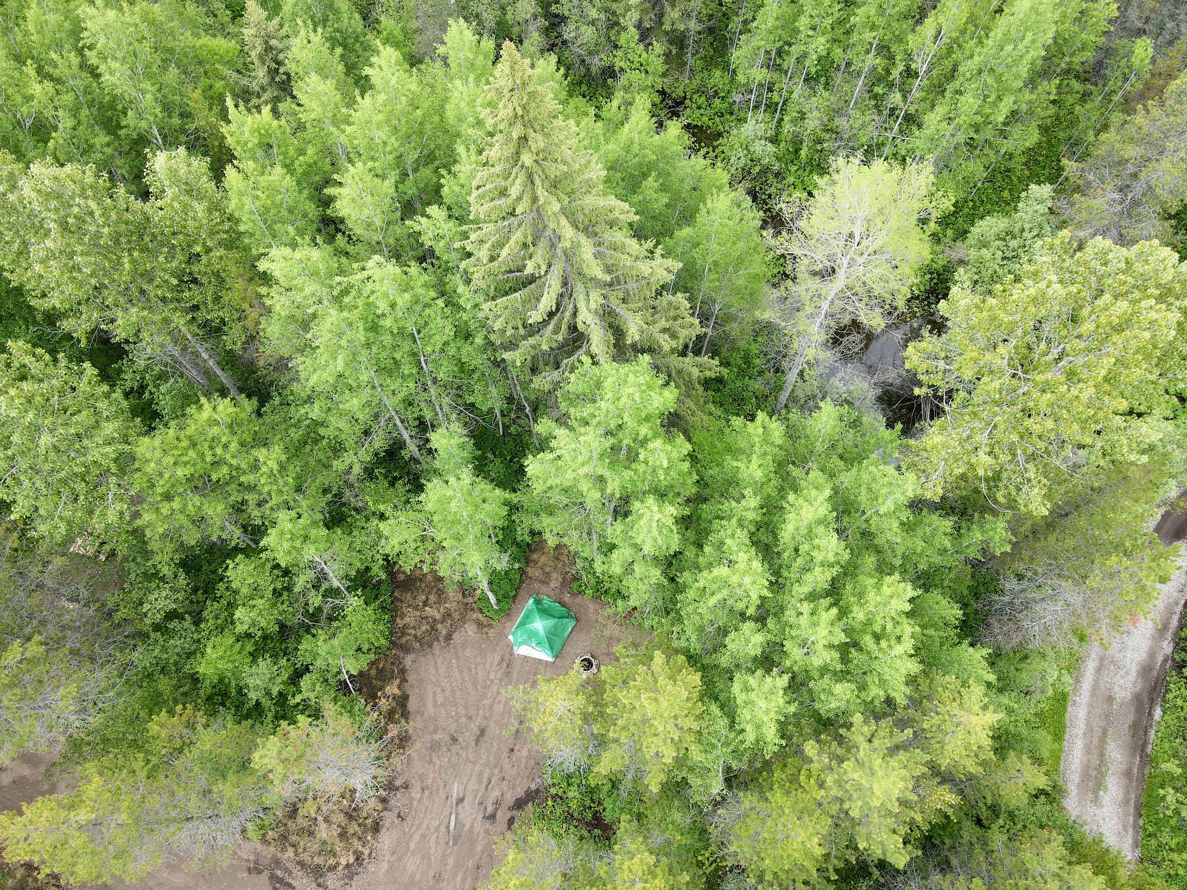 Site 12