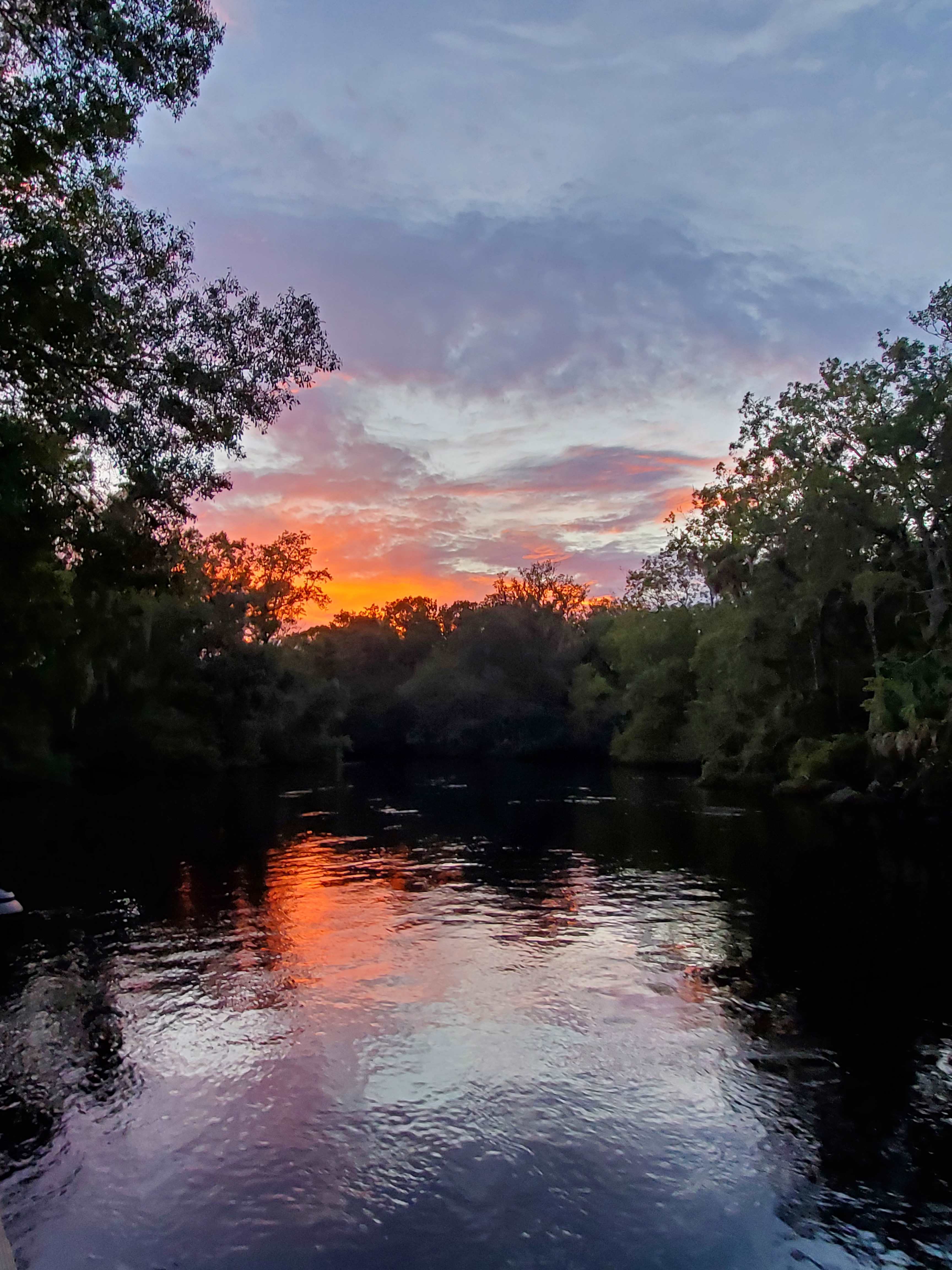 River Rise Cottage On the Aucilla