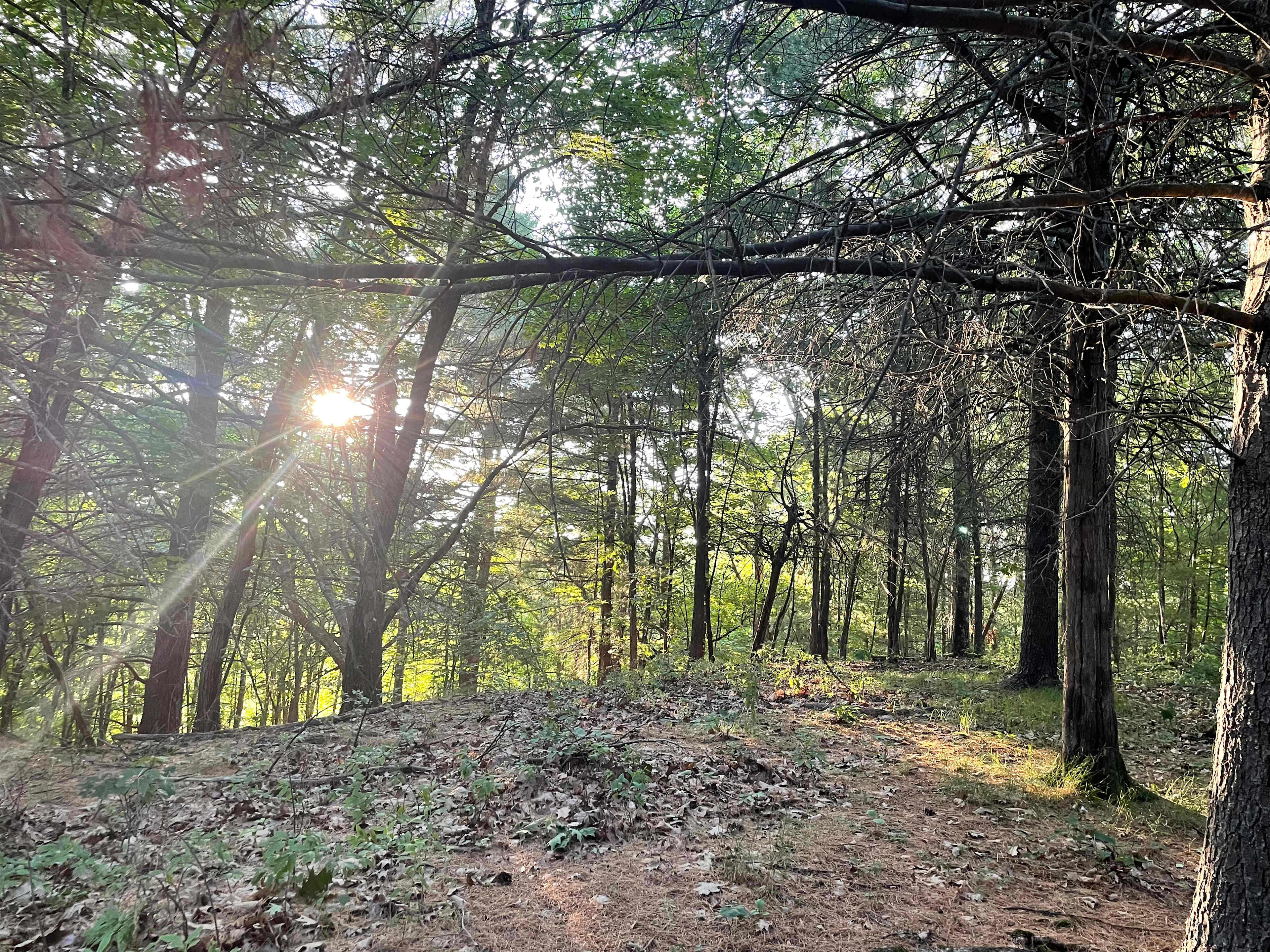 Jen’s place
