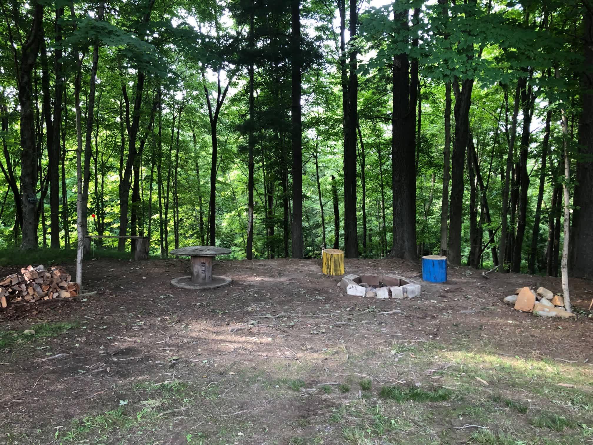 The McIntosh Pines