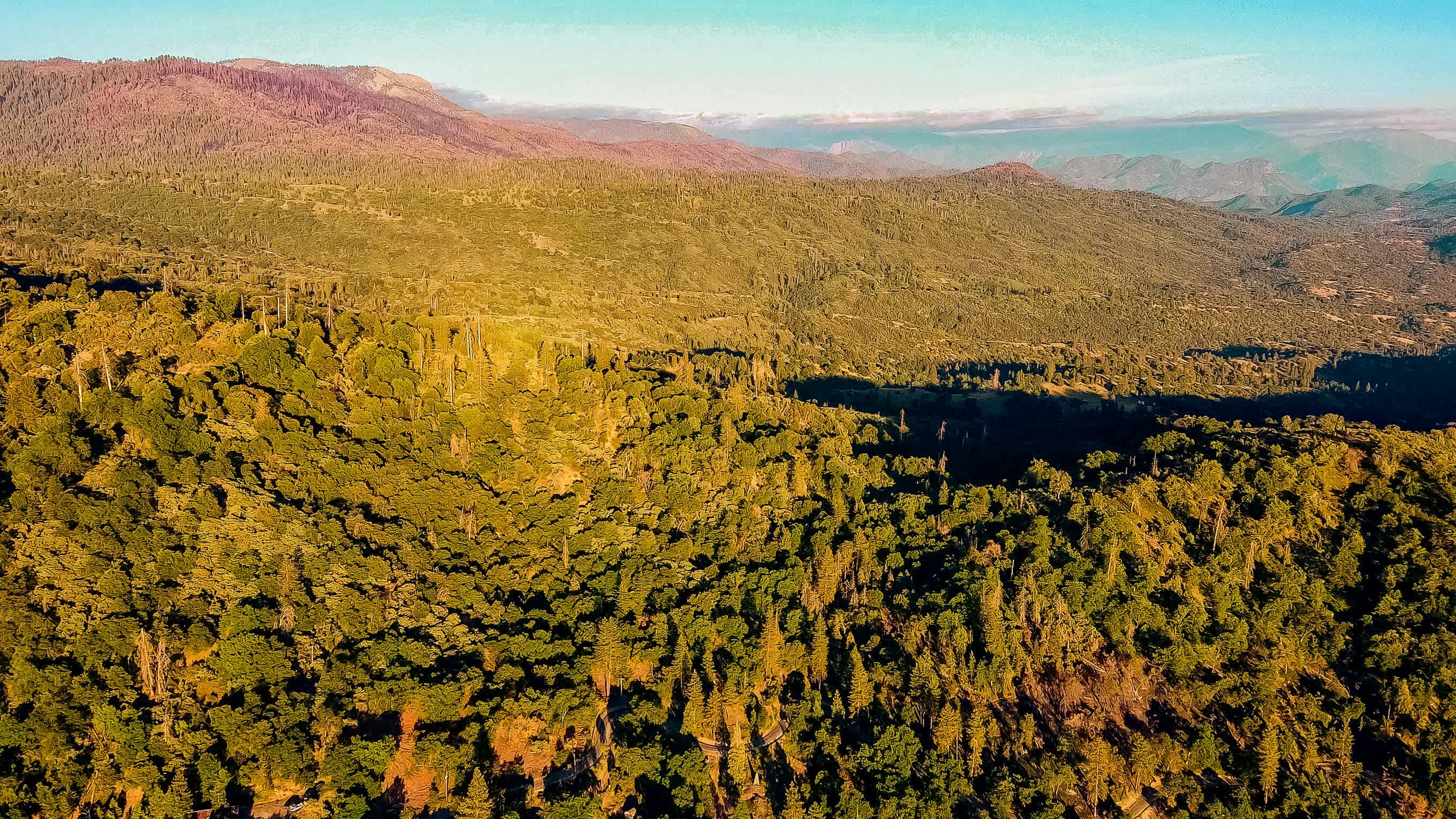 Sequoia Mountain Farms