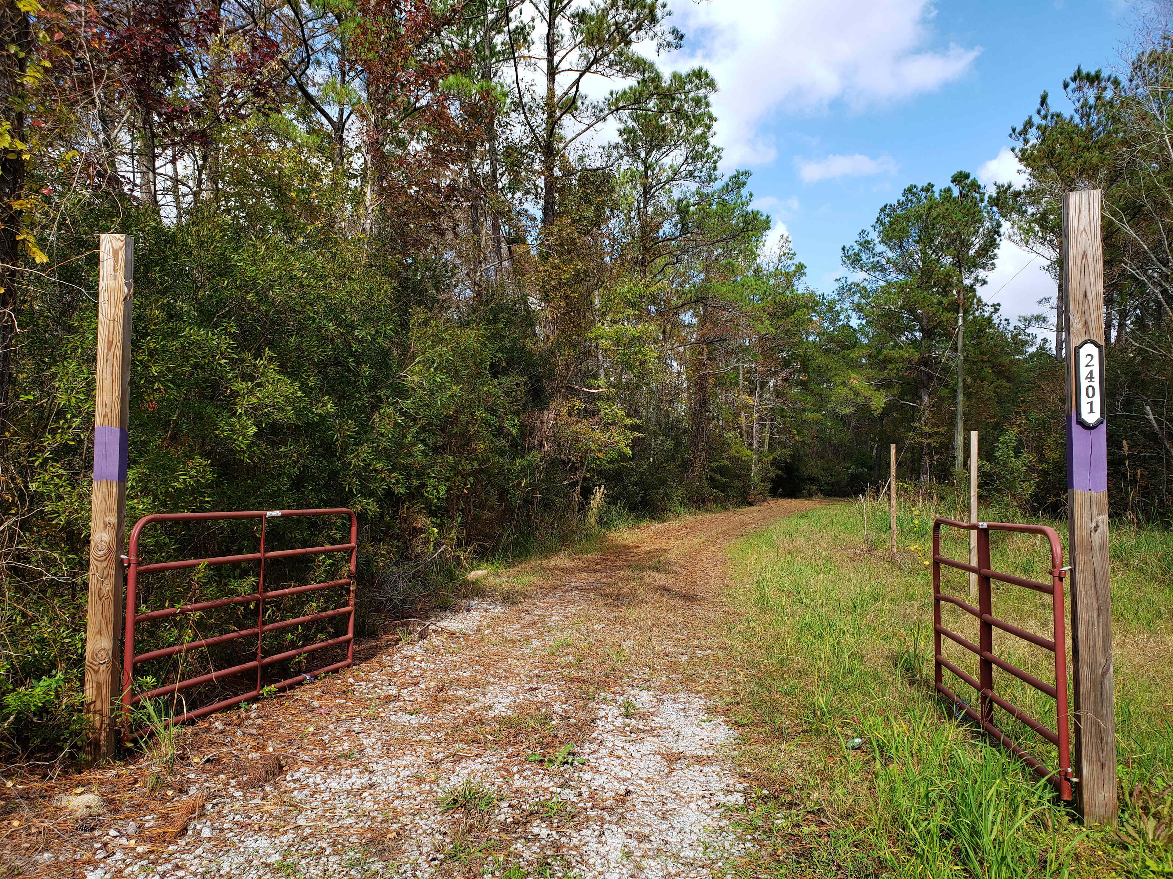 Gator Creek