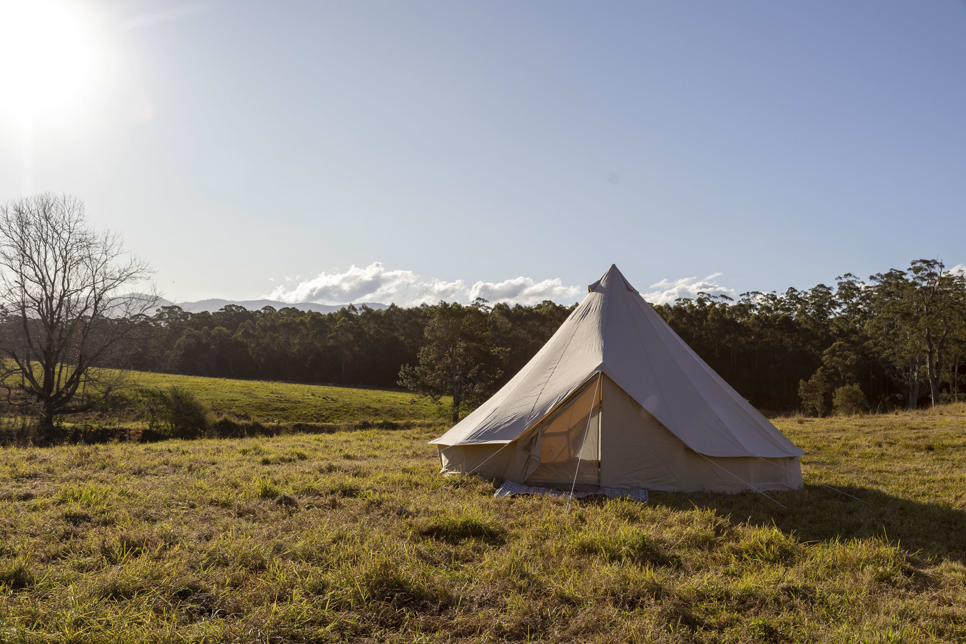 Bell tent camping in Bellingen
