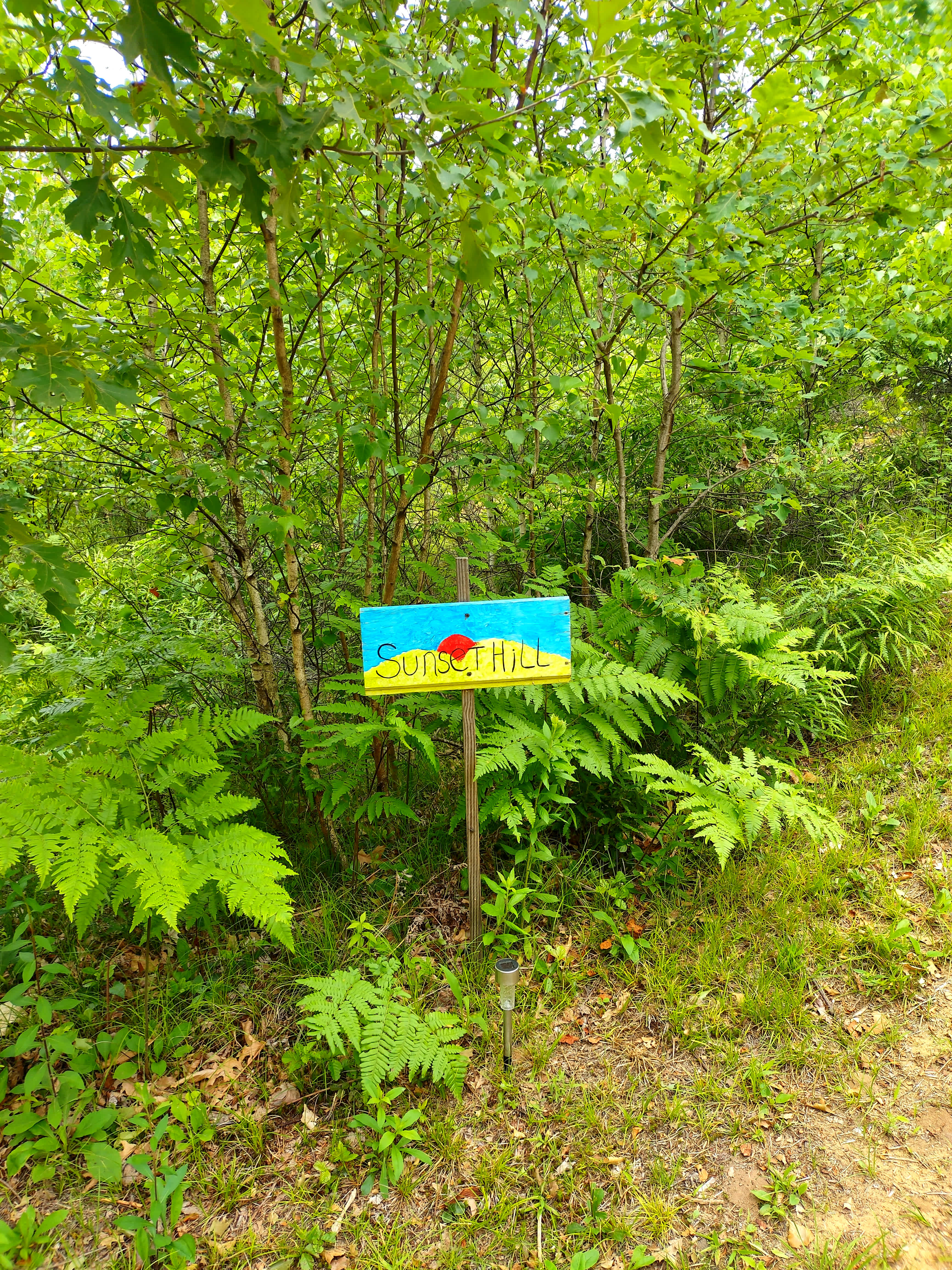 Campers Welcome to The Wolf Swamp.