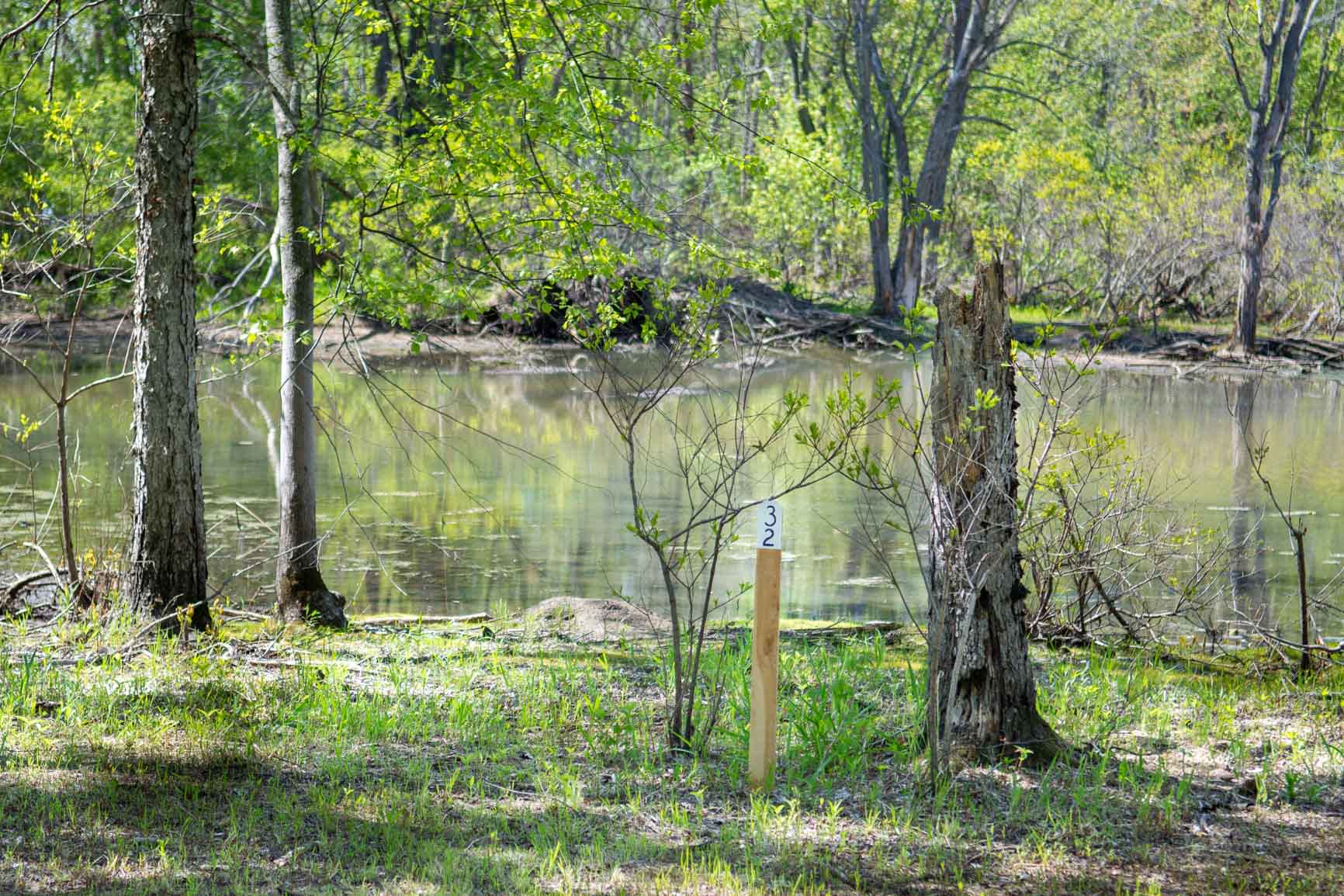 A lovely shaded water front site on the peninsula. 