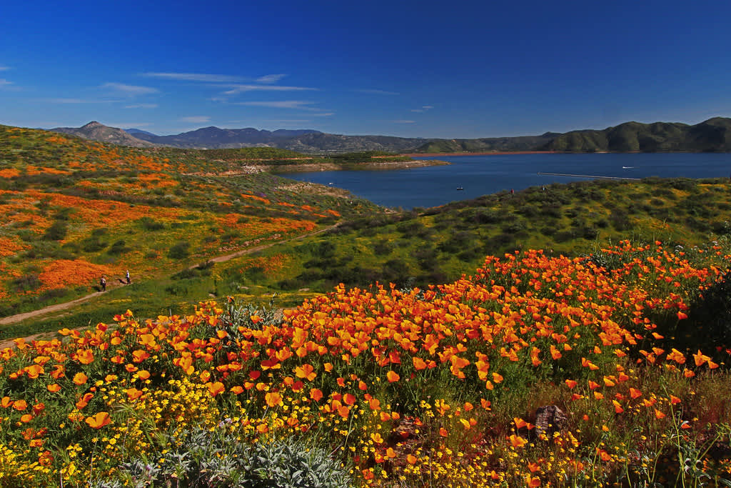 Diamond Valley Lake