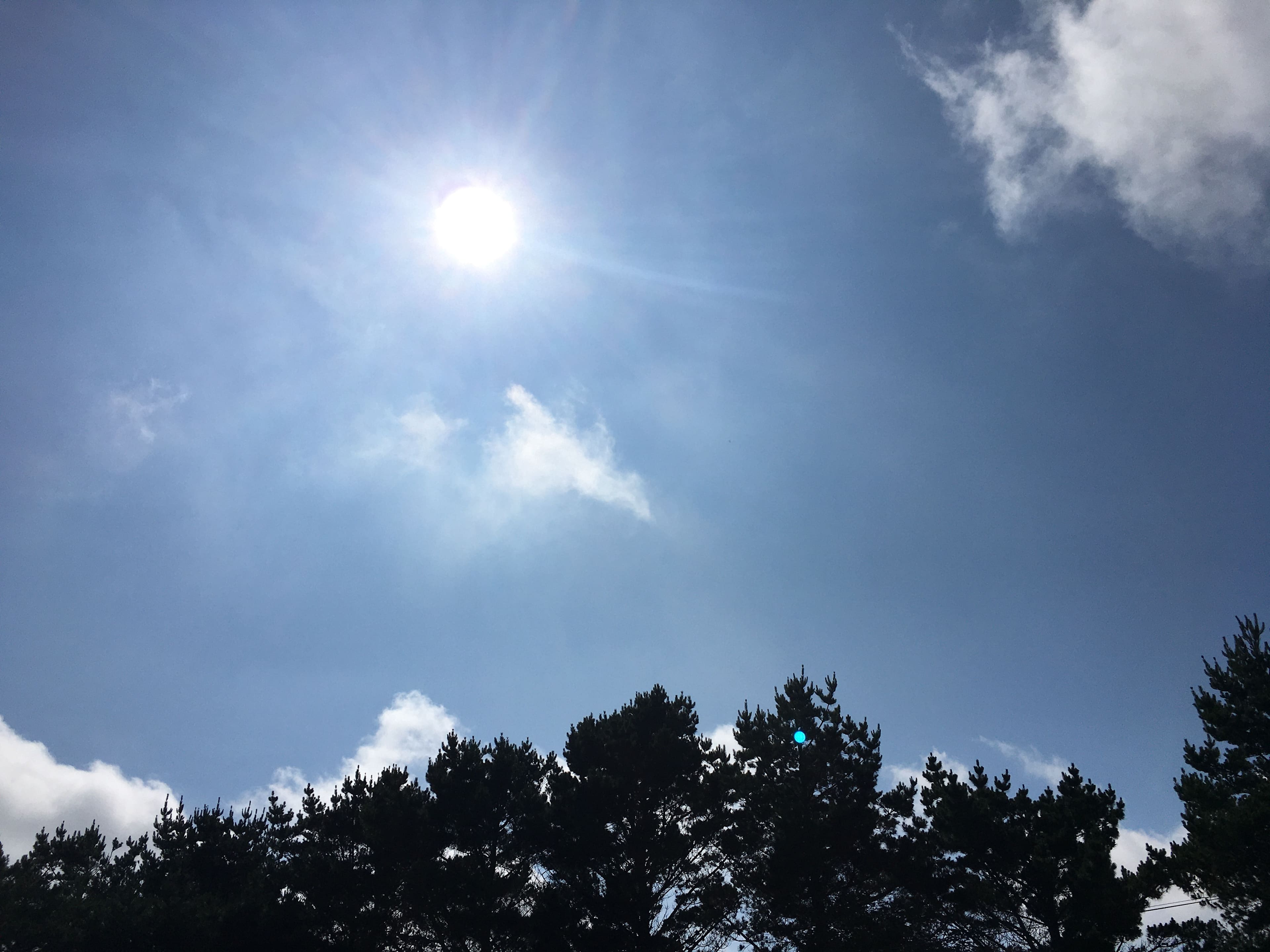 Trevena Cross Glamping & Camping