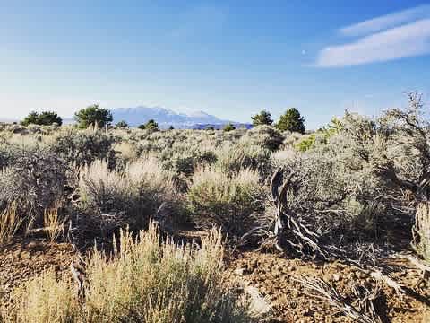 Babydoll Ranch