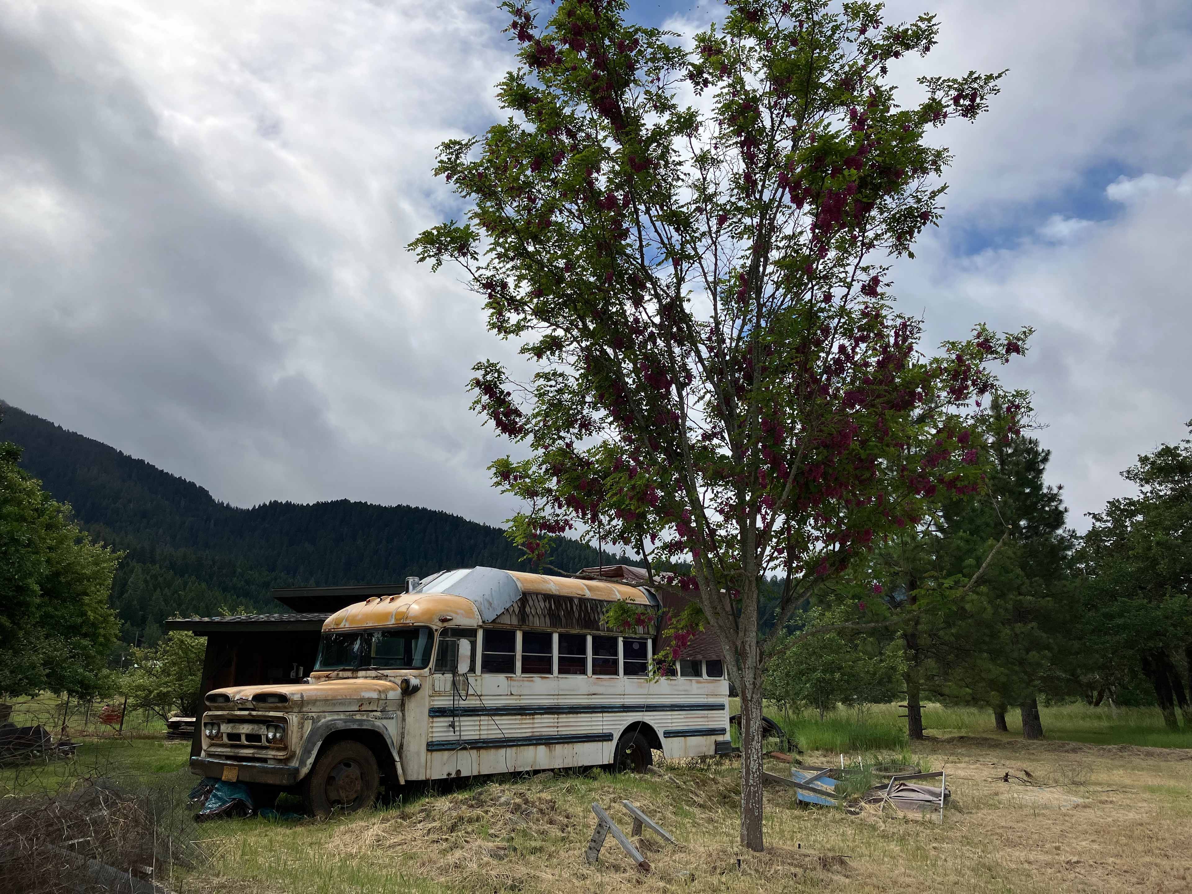 Esmeralda the school bus, at the start of her renovation.