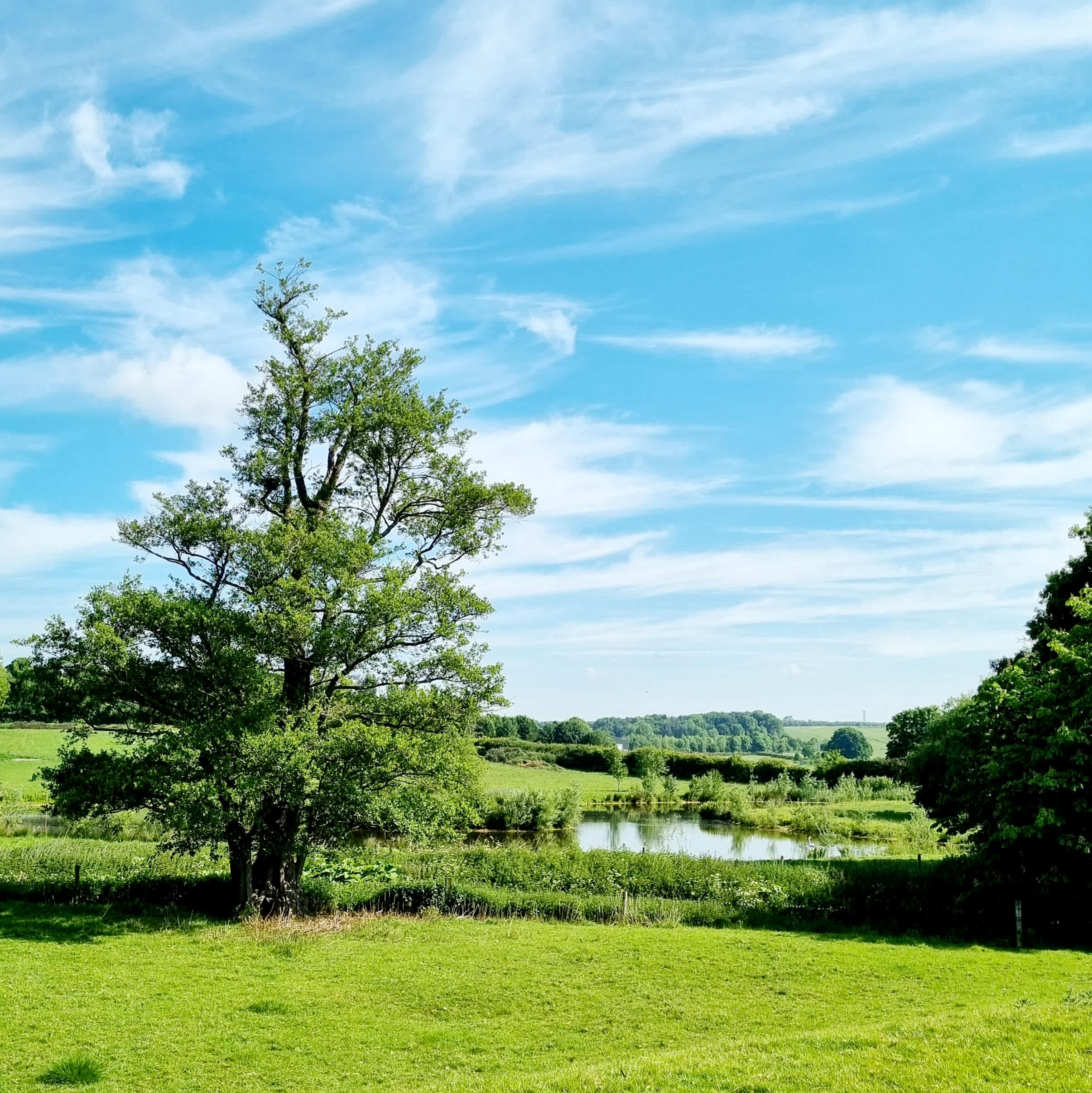 Arthingworth Camping