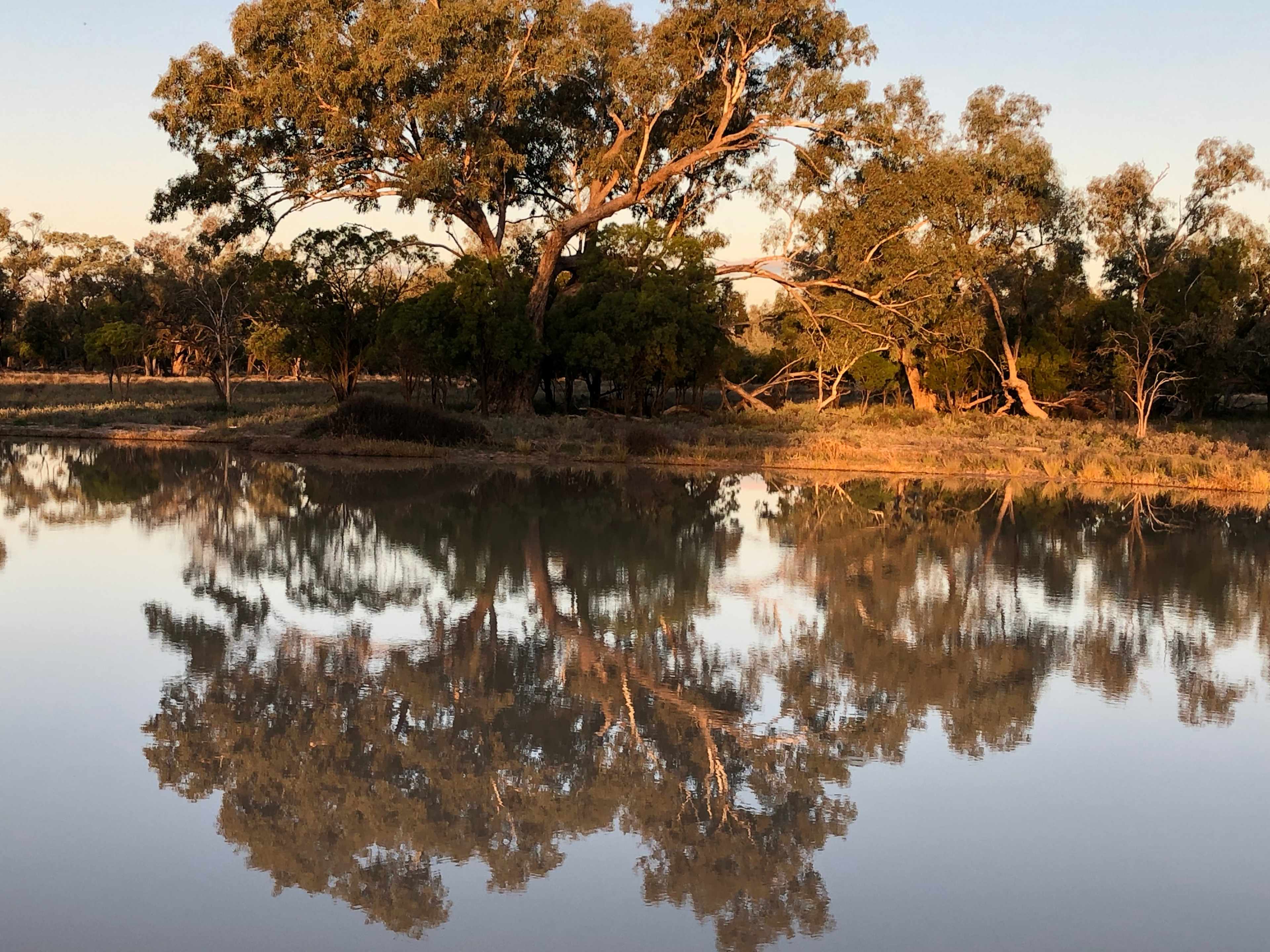 The quietest spot for camping 