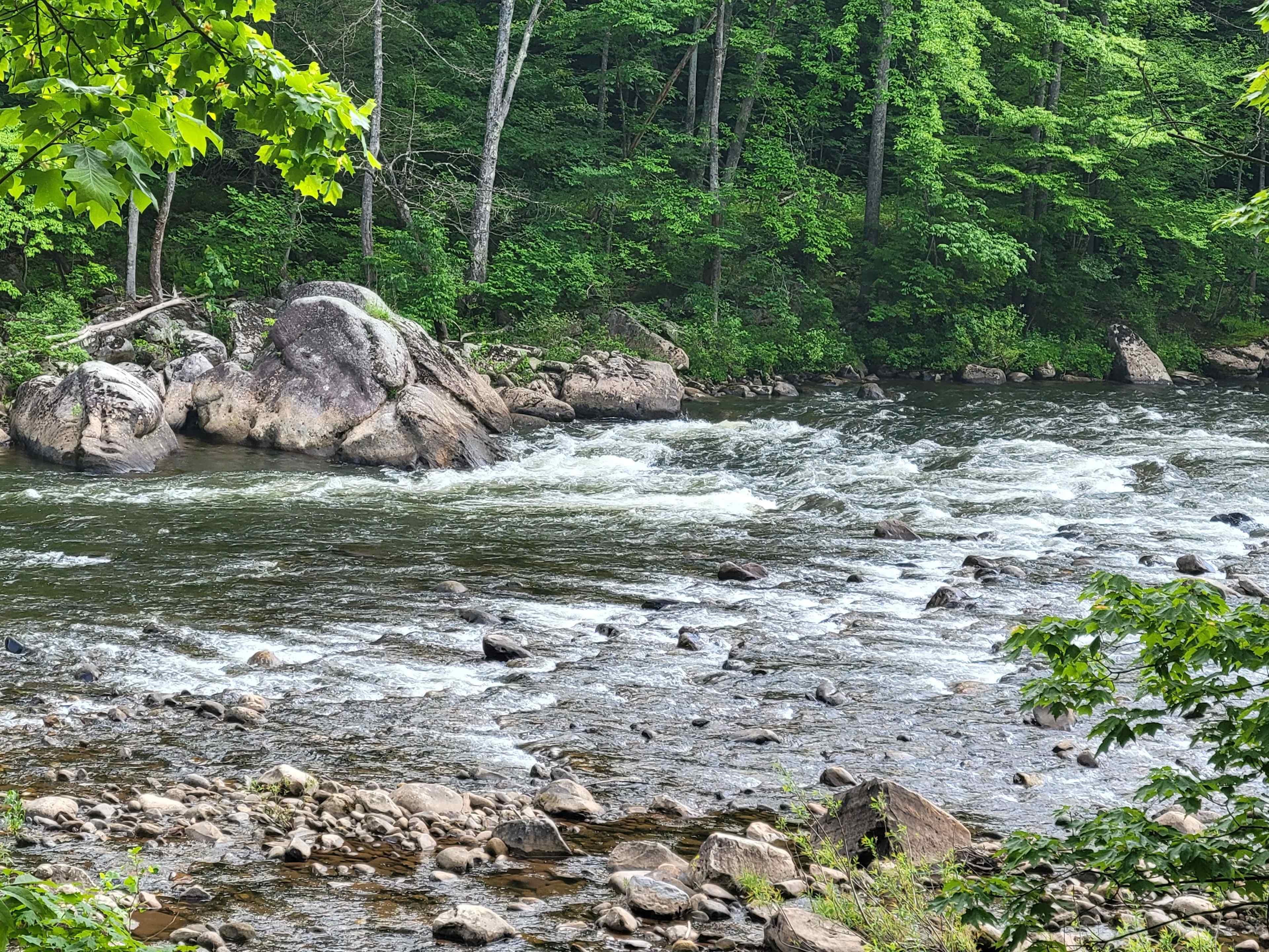 Brooklyn Heights Riverfront Camp